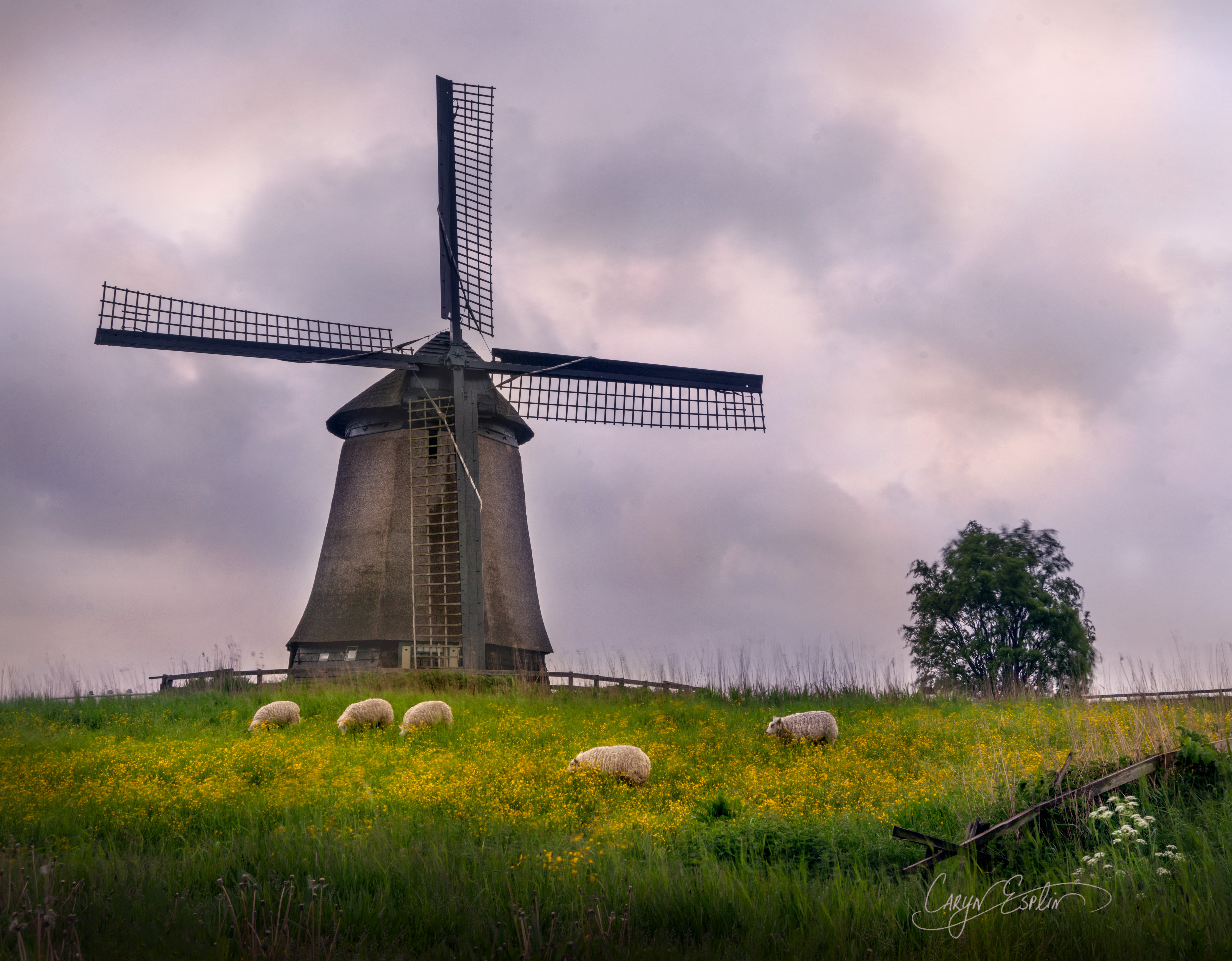 Dutch Windmills | Caryn Esplin | Fine Art Photography