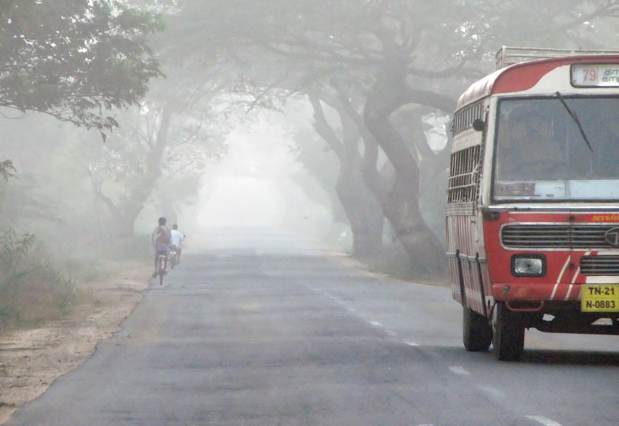 File:Early morning travel in a Tamilnadu road.jpeg - Wikimedia Commons