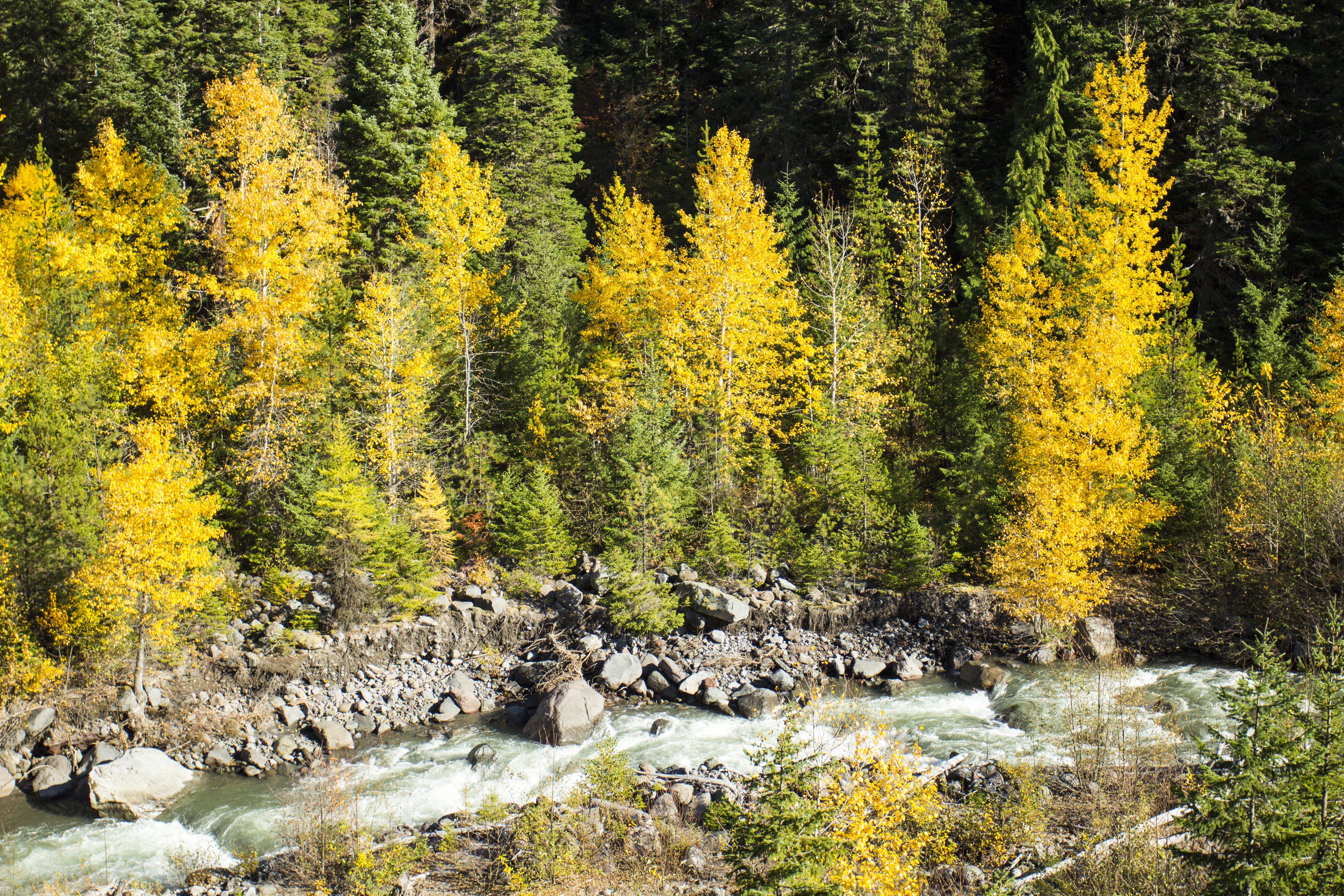 East Fork Hood River in Fall, Oregon, Autumn, Fall, Forest, Hood, HQ Photo
