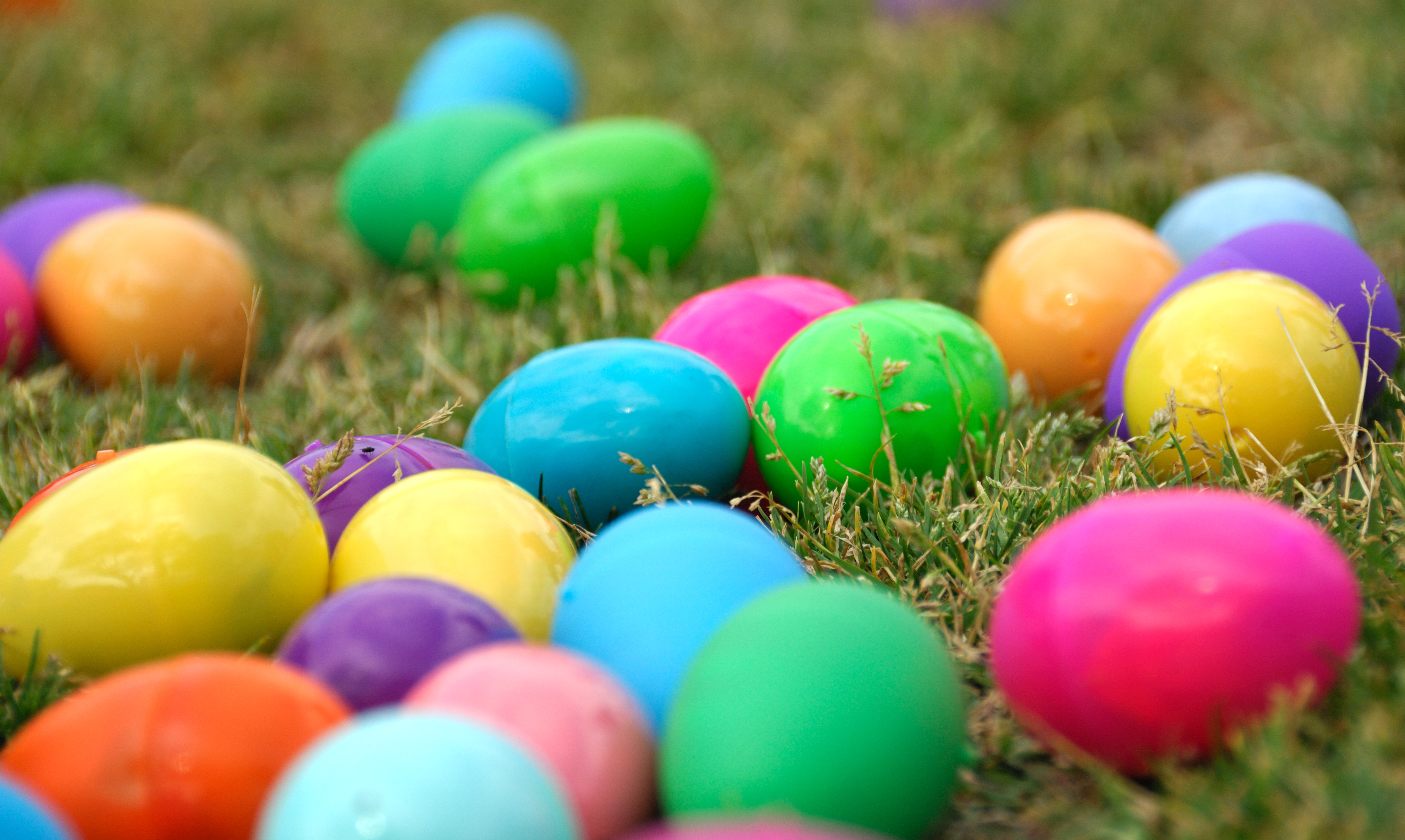 Survey determines Easter spending habits in the U.S. - News Now Warsaw