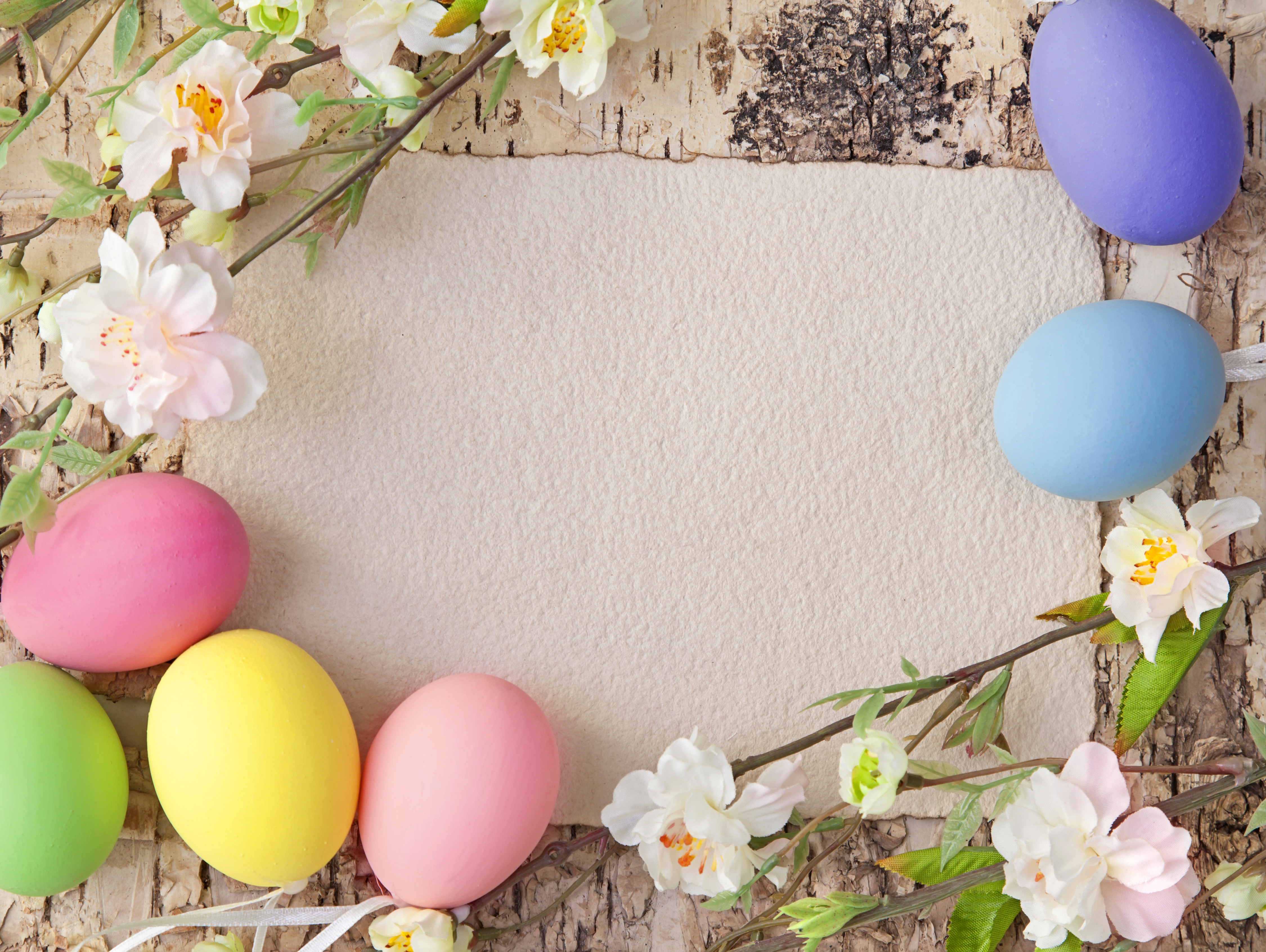 Easter Background with Eggs and Spring Branches | Gallery ...