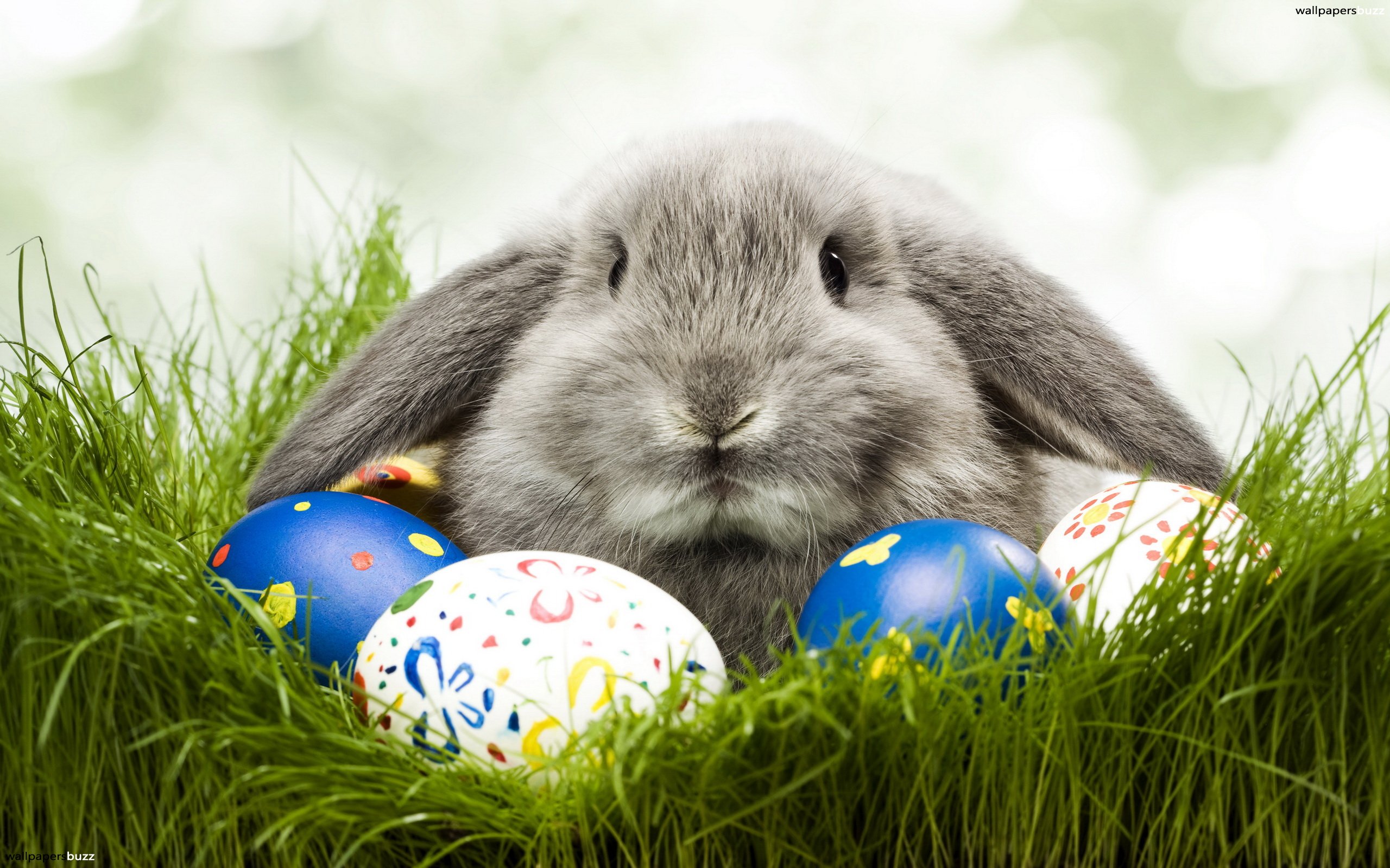 Hippity Hoppin', Easter's On Its Way: The Truth Behind the Easter ...