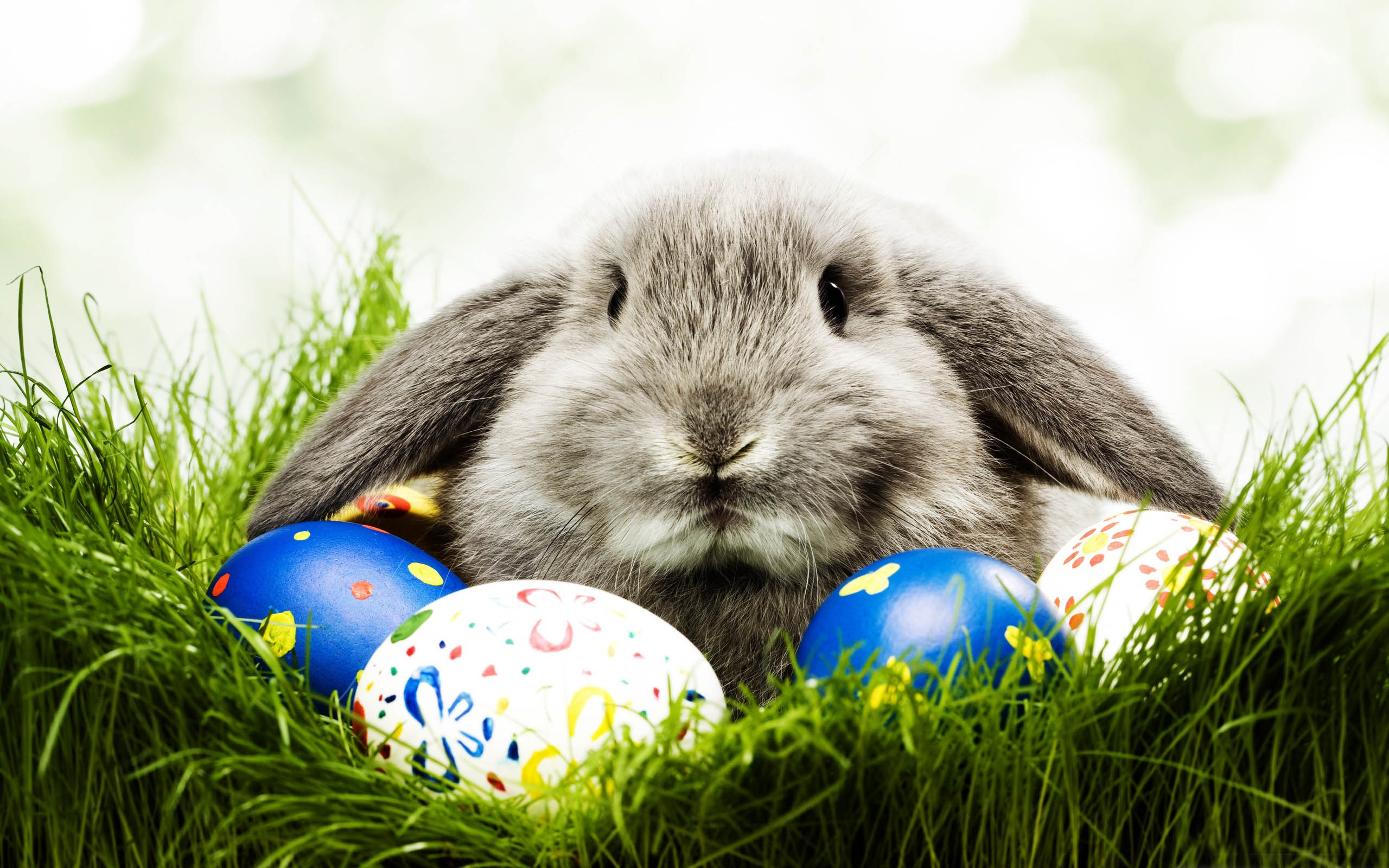 Did the Easter Bunny come to church? | Ministry Nuts and Bolts