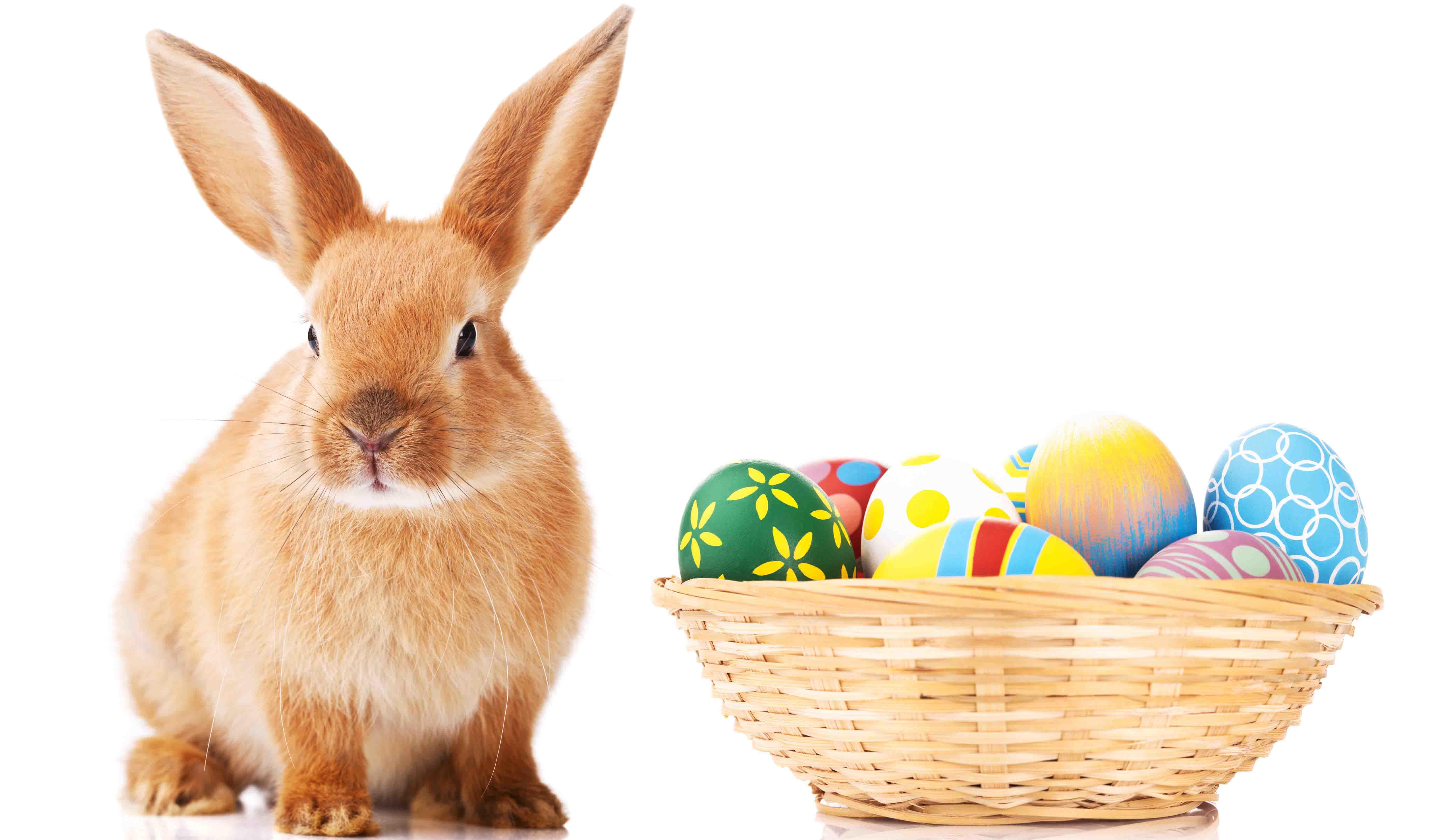 Origins of the Easter Bunny and Easter Eggs