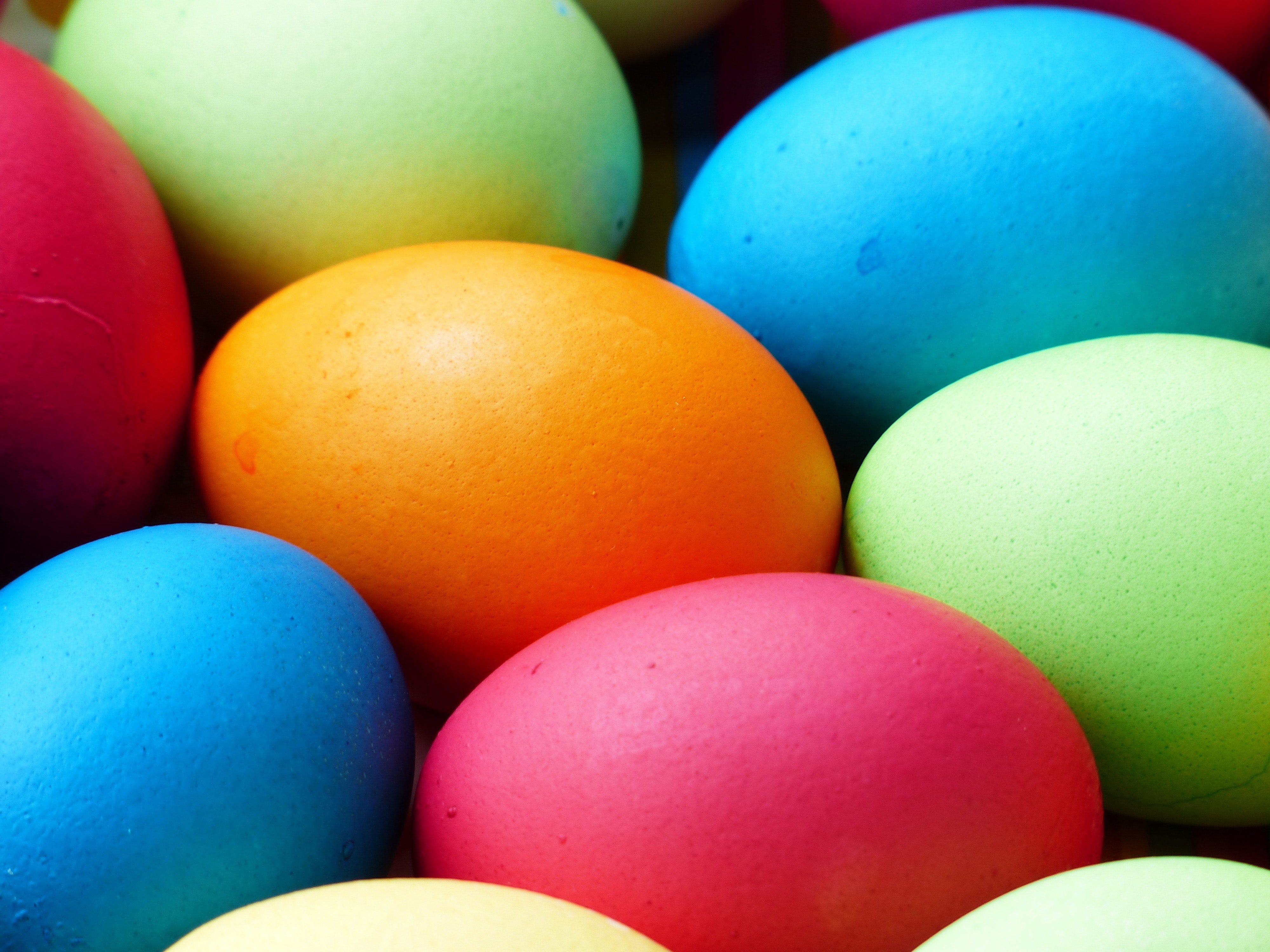 Free stock photo of easter, eggs