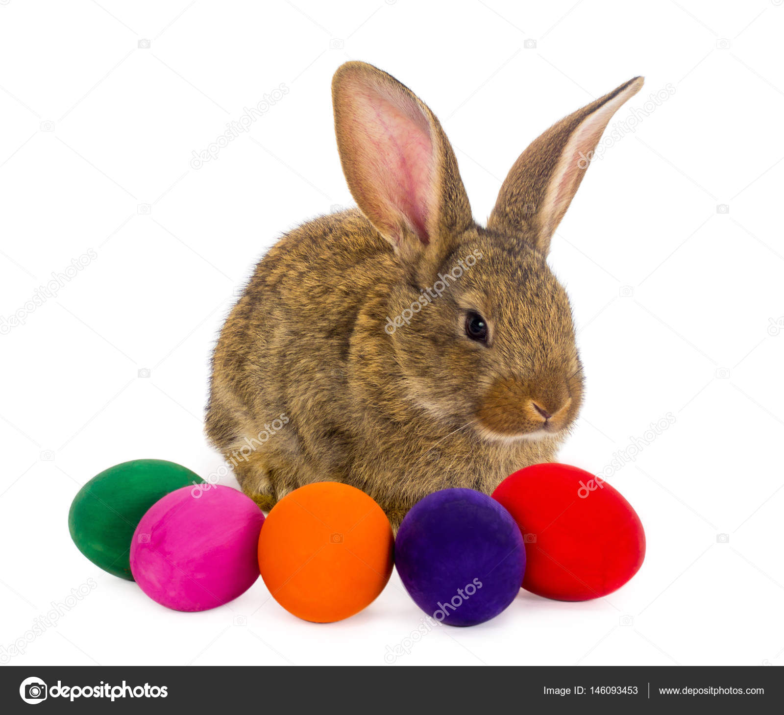 easter rabbit with painted eggs — Stock Photo © Alekcey #146093453