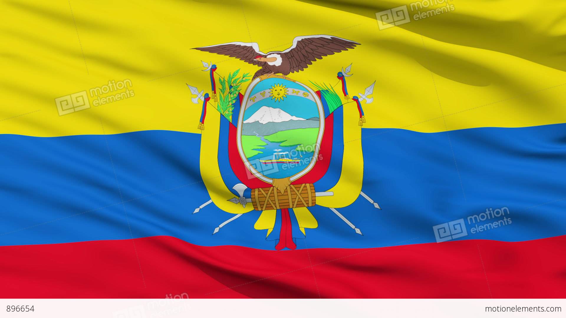 Waving National Flag Of Ecuador Stock Animation | 896654