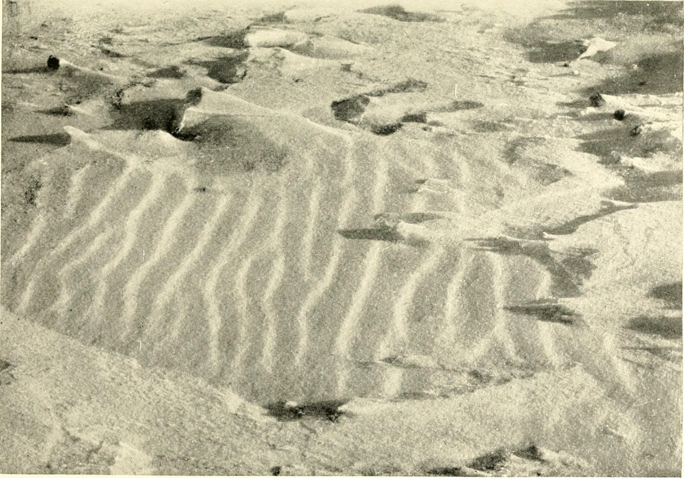 File:Waves of sand and snow and the eddies which make them (1914 ...