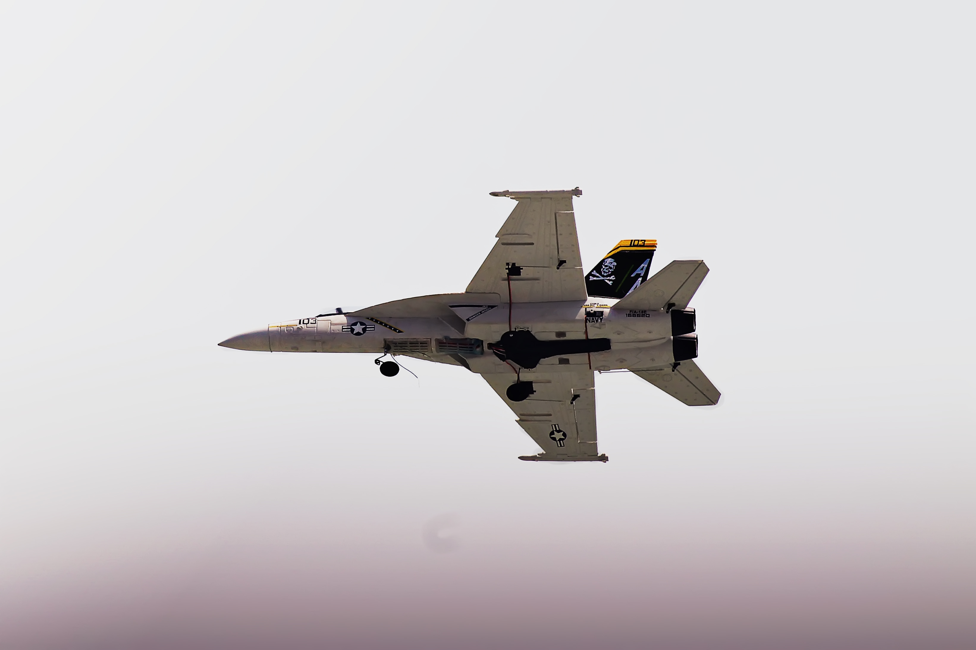 Edf f 18 hornet model jet photo