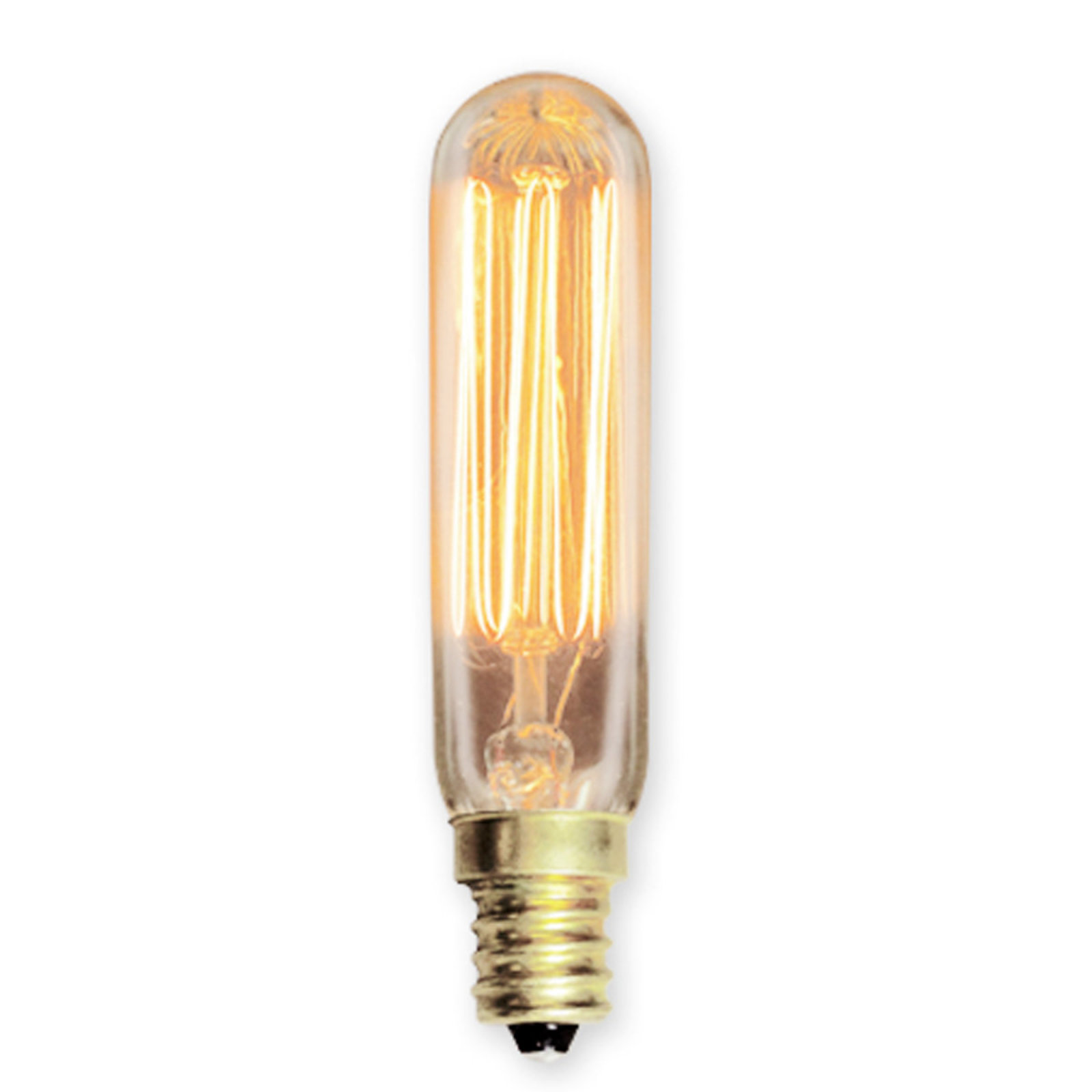 Vintage Edison Light Bulbs - Shades of Light