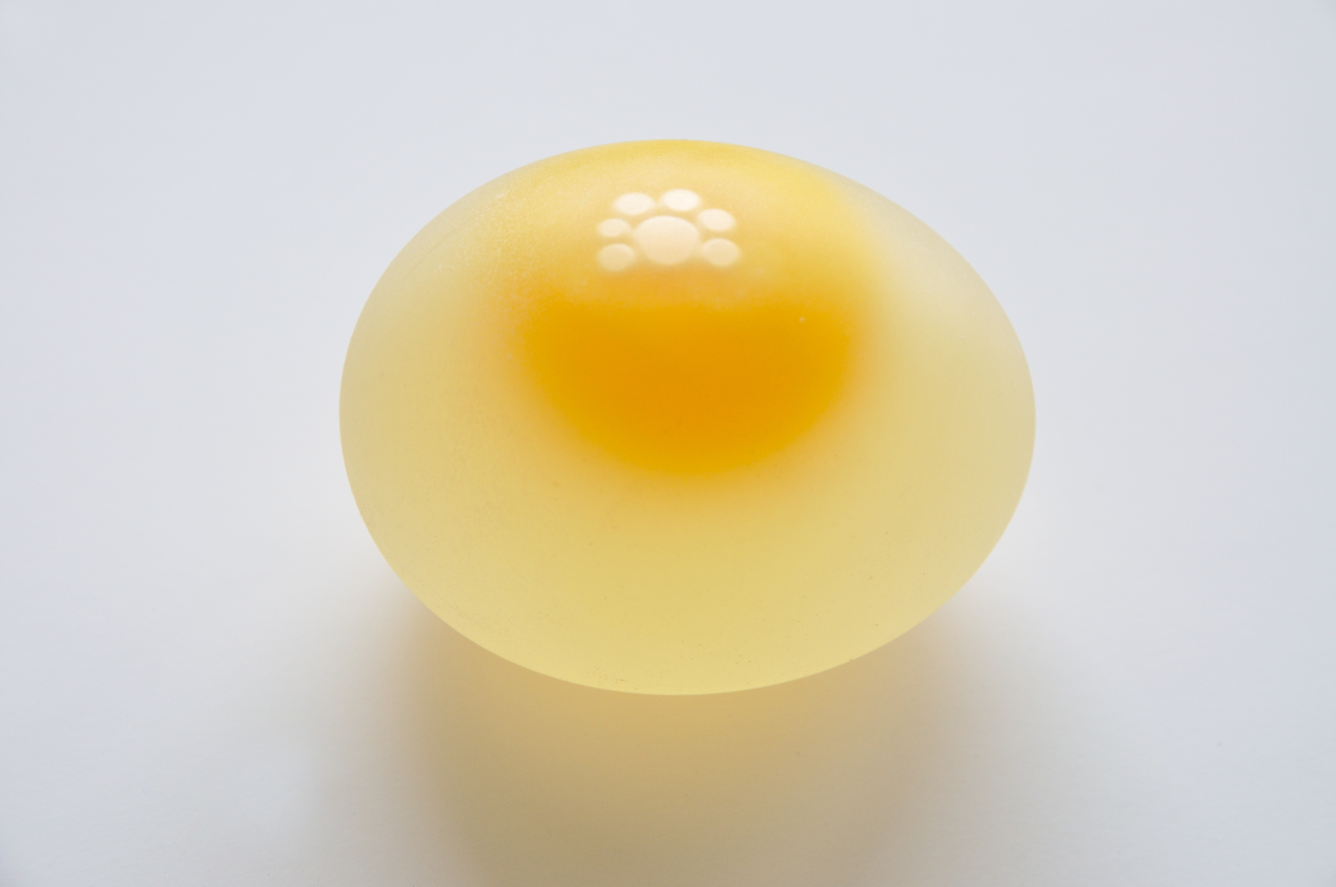 Egg photo