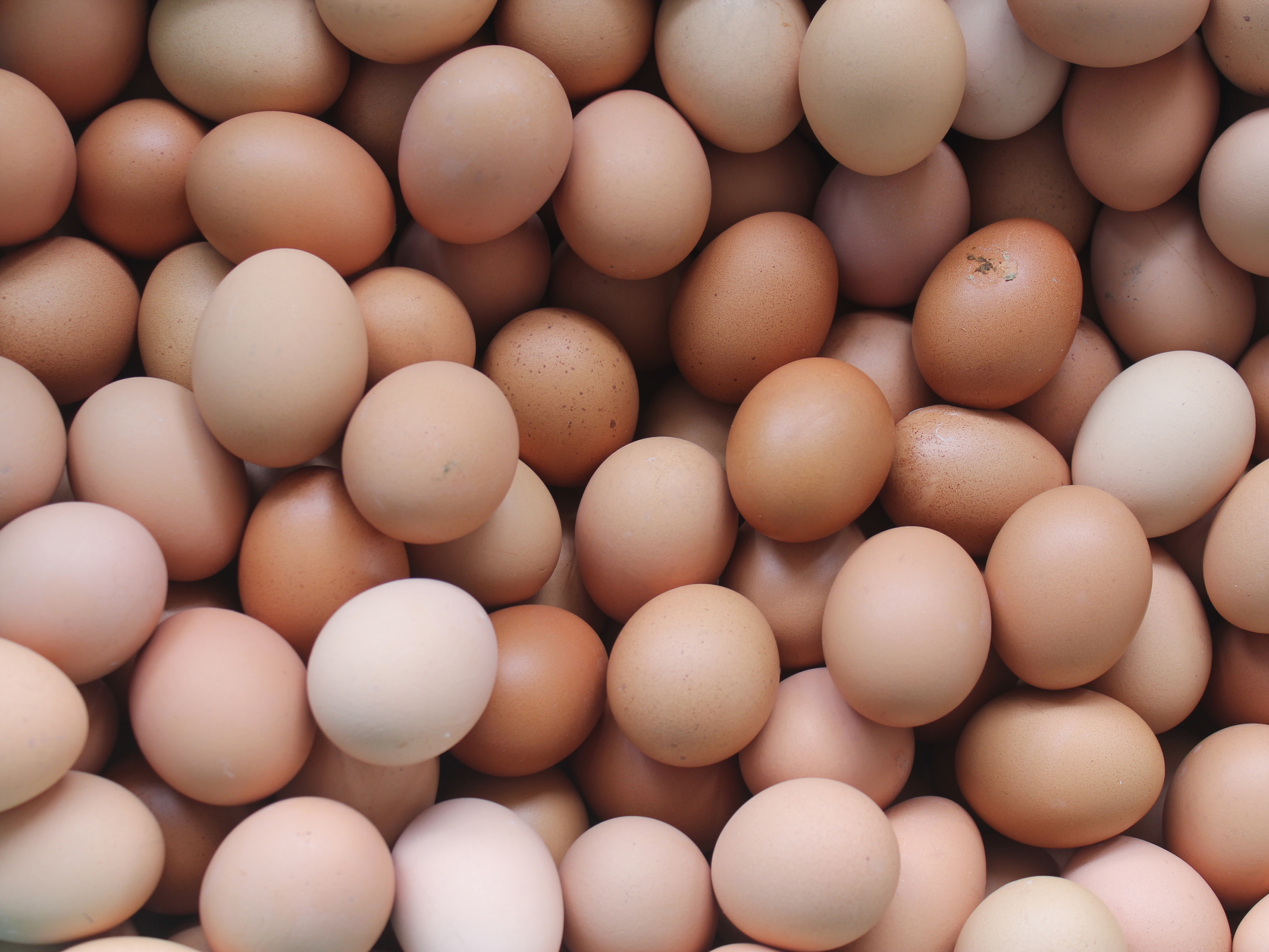 Here's Where the 200 Million Recalled Eggs Were Sold — Cooking Light