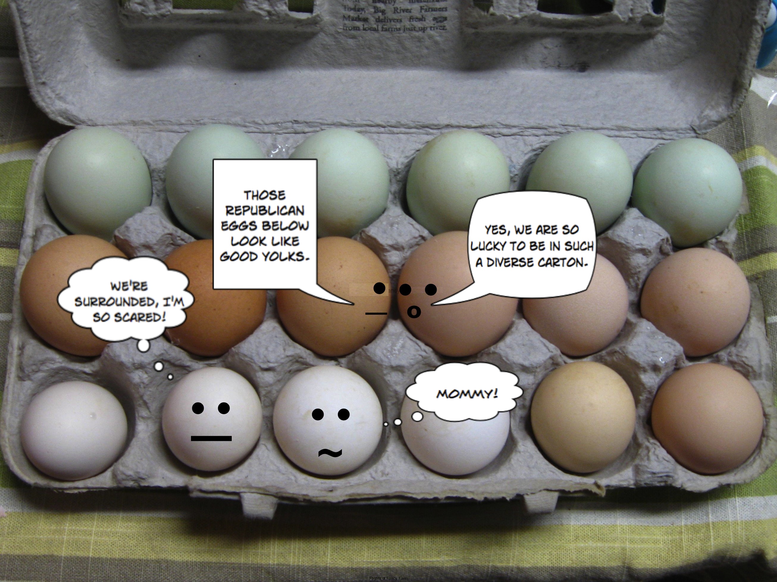 eggs-in-carton | The Realm