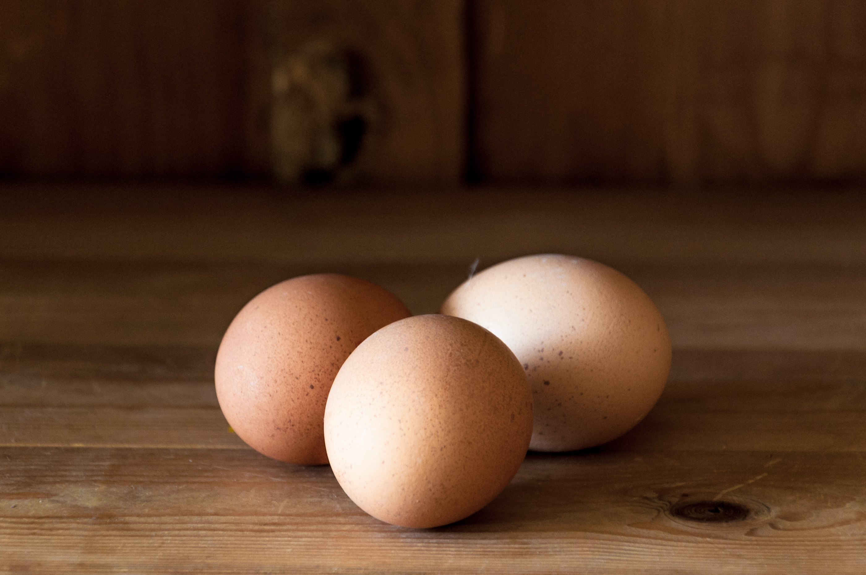 Eggs on wood background, Agriculture, Old, Image, Ingredient, HQ Photo