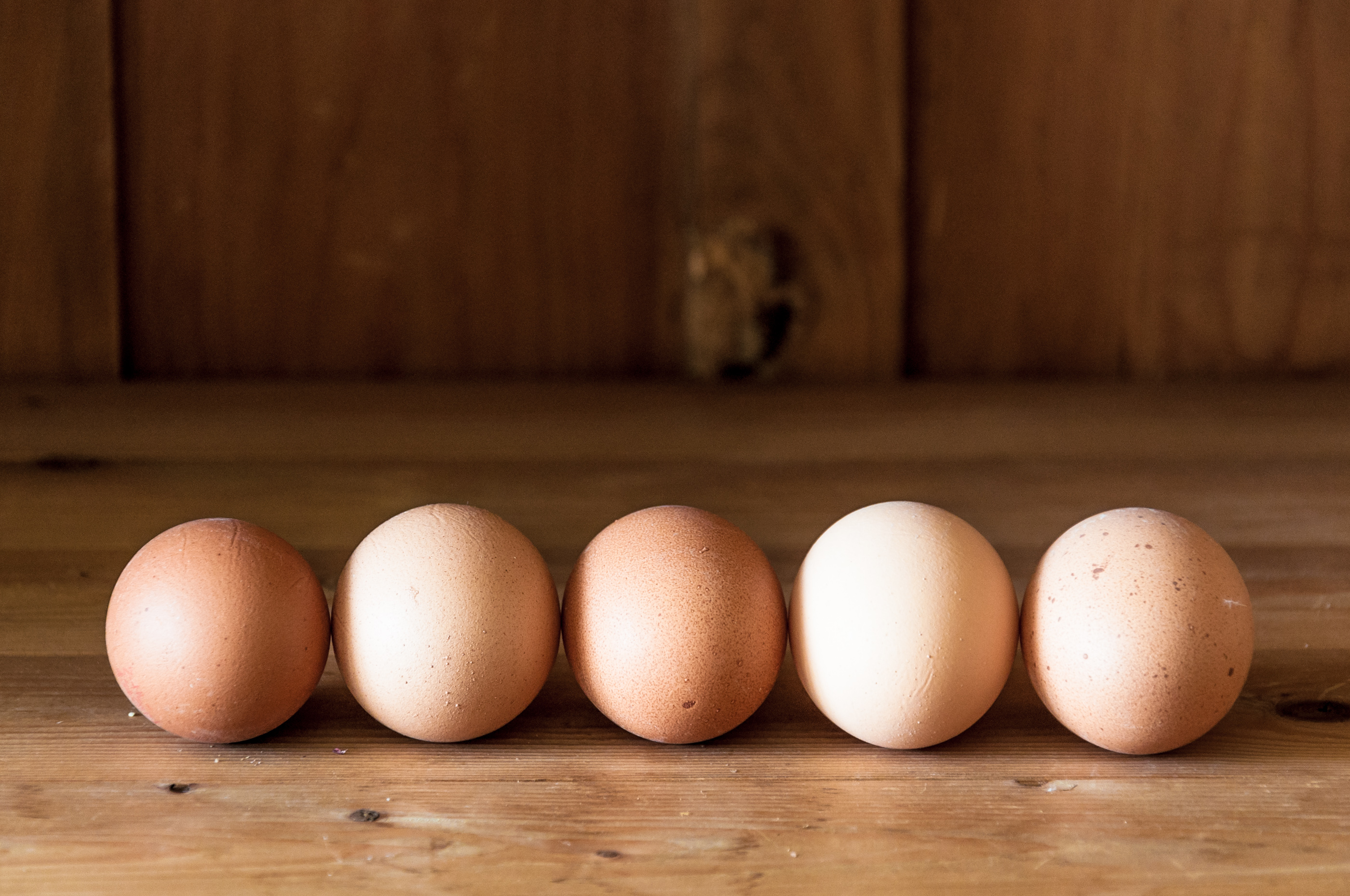 Eggs on wood background photo