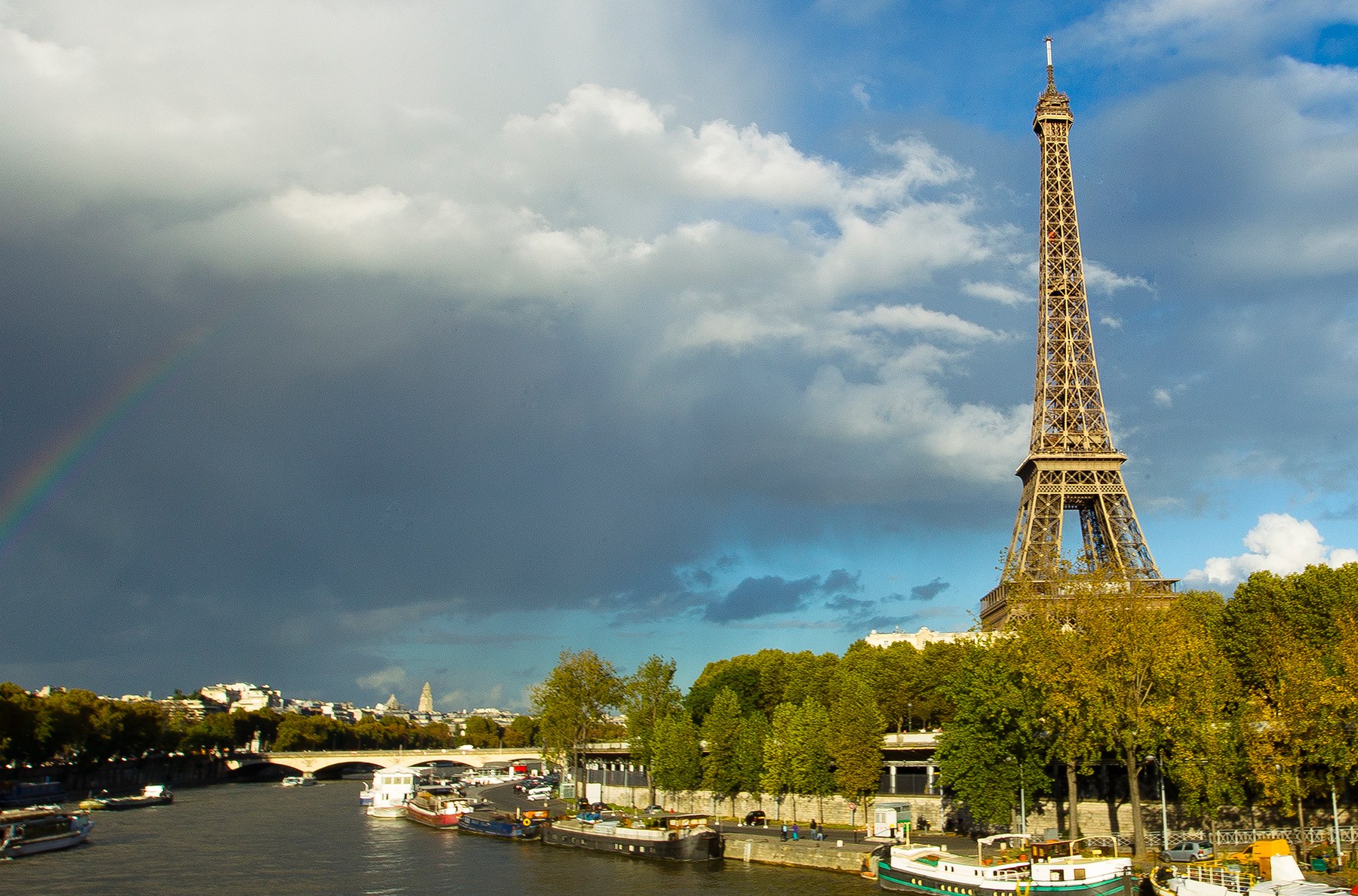 What Your Bones Have in Common With the Eiffel Tower | WIRED