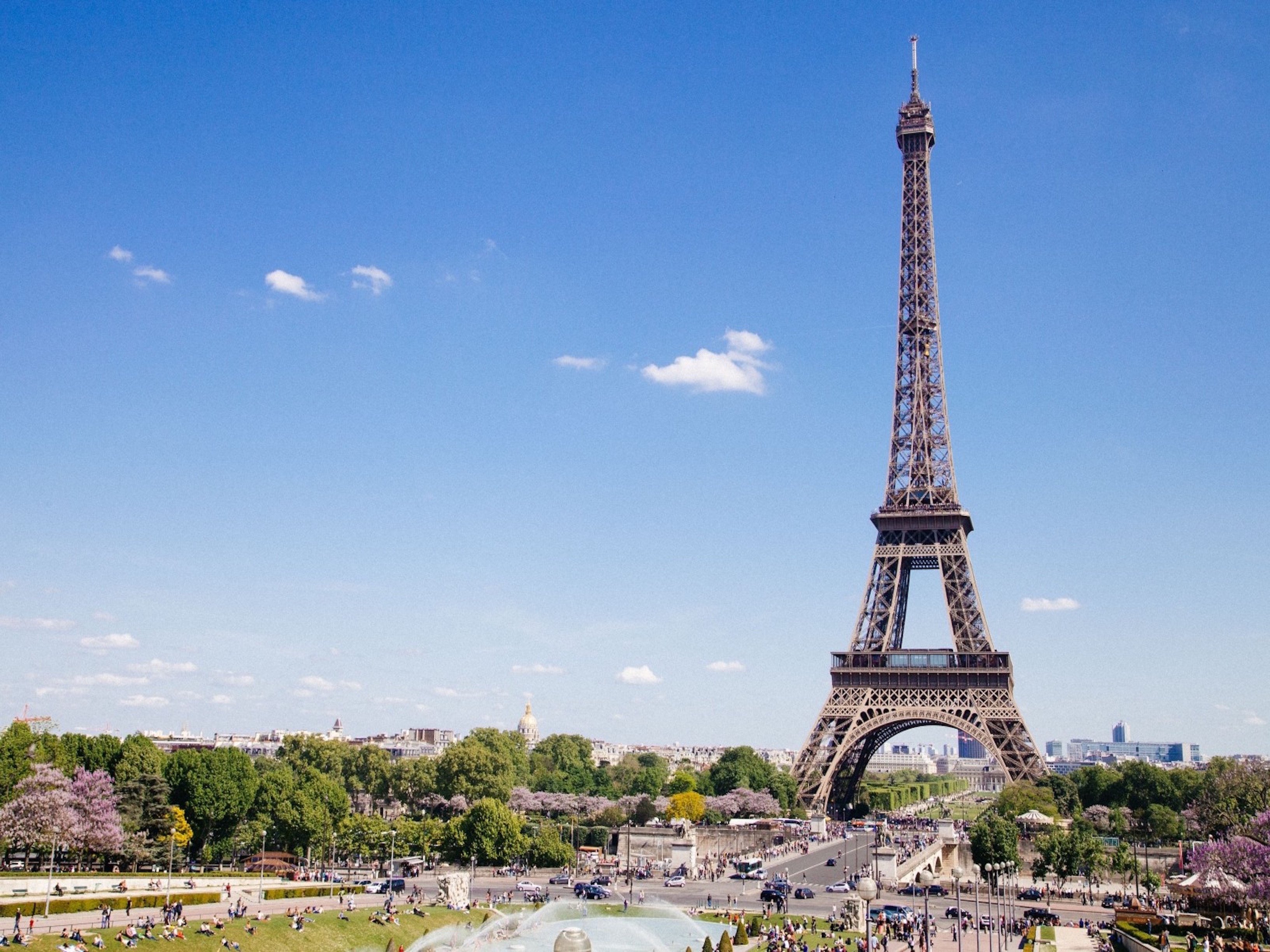 VIP Eiffel Tower Tour & Summit Access - Boutique Bike Tours