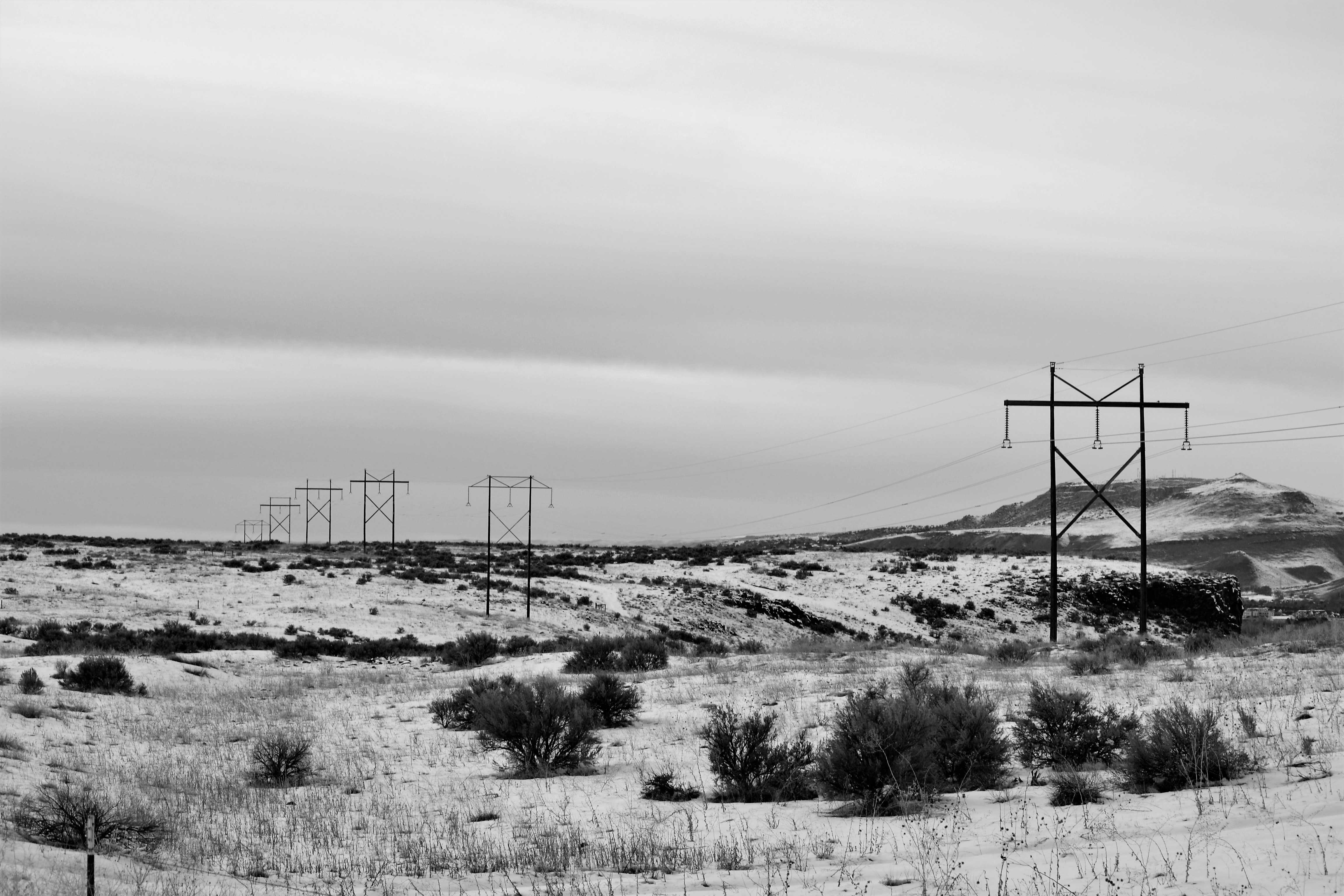Electric posts on dry field photo