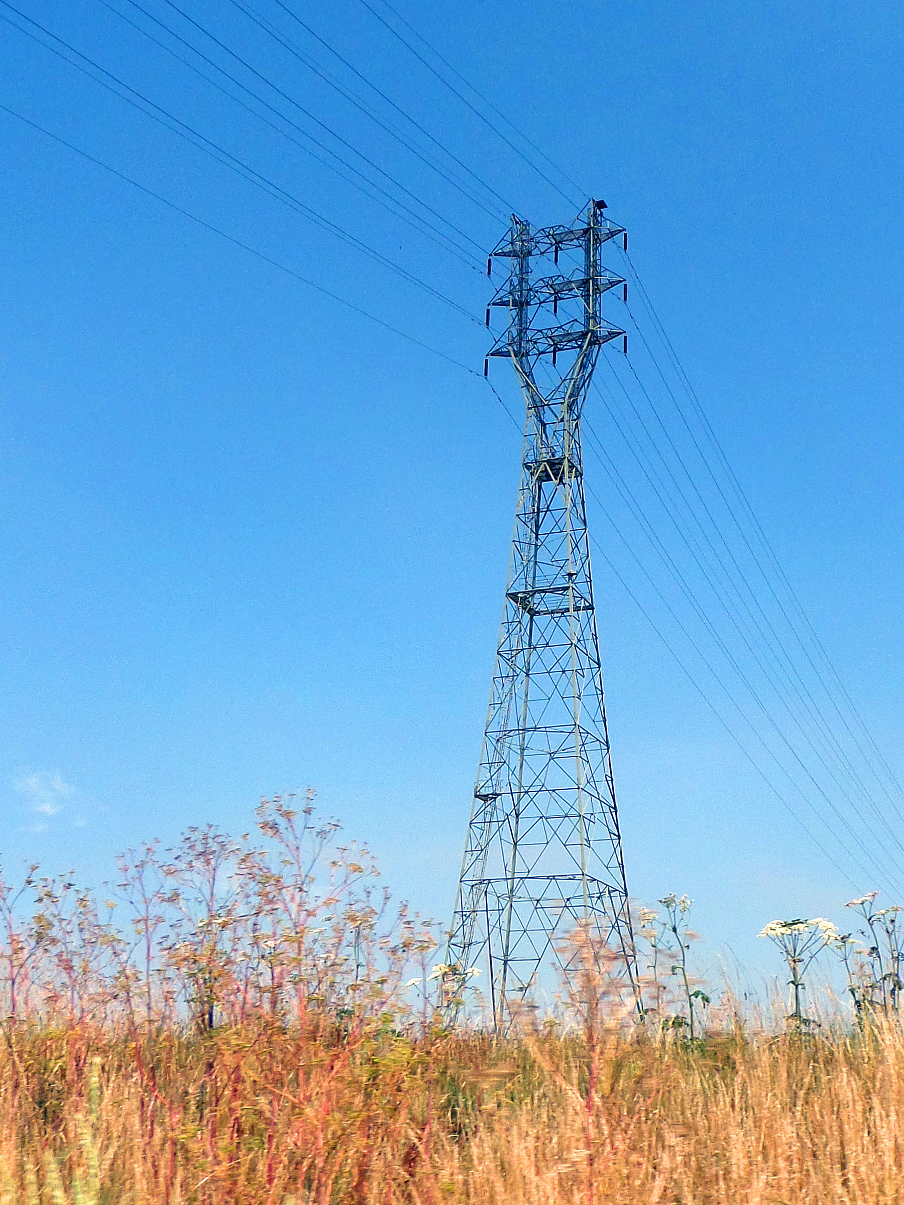 Electricity pylon photo