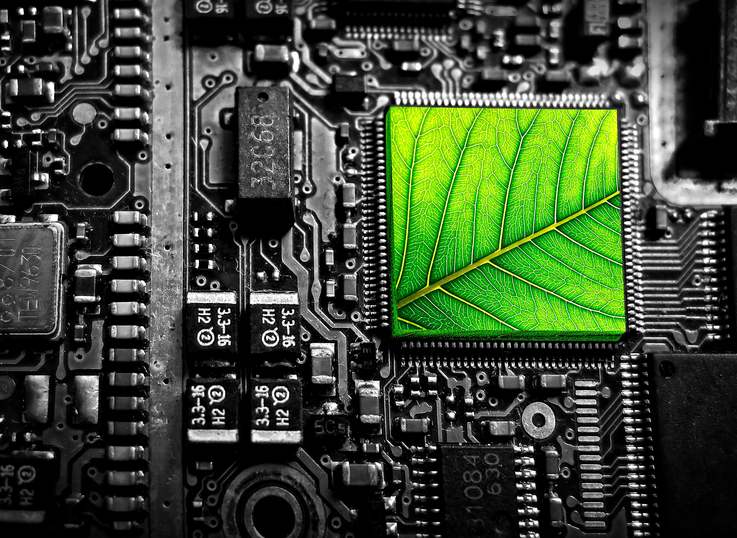 Electronic circuit with green leaf - green technology photo