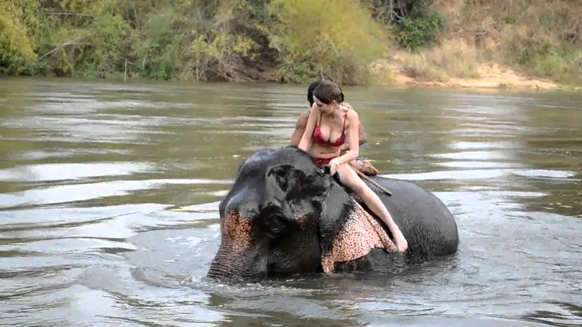 Elephant Bathing - YouTube