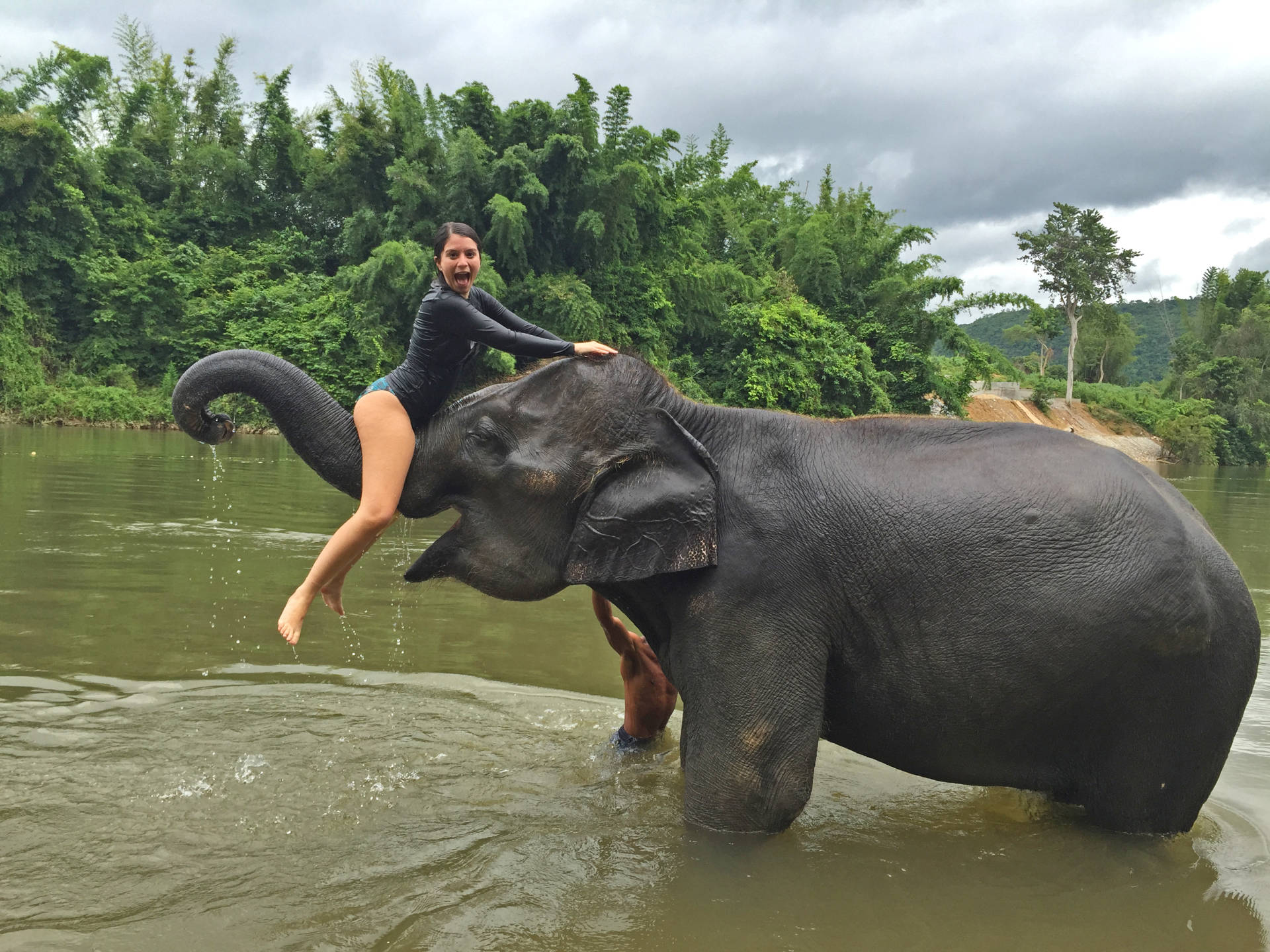 A day spent feeding, bathing and playing with elephants! – The ...
