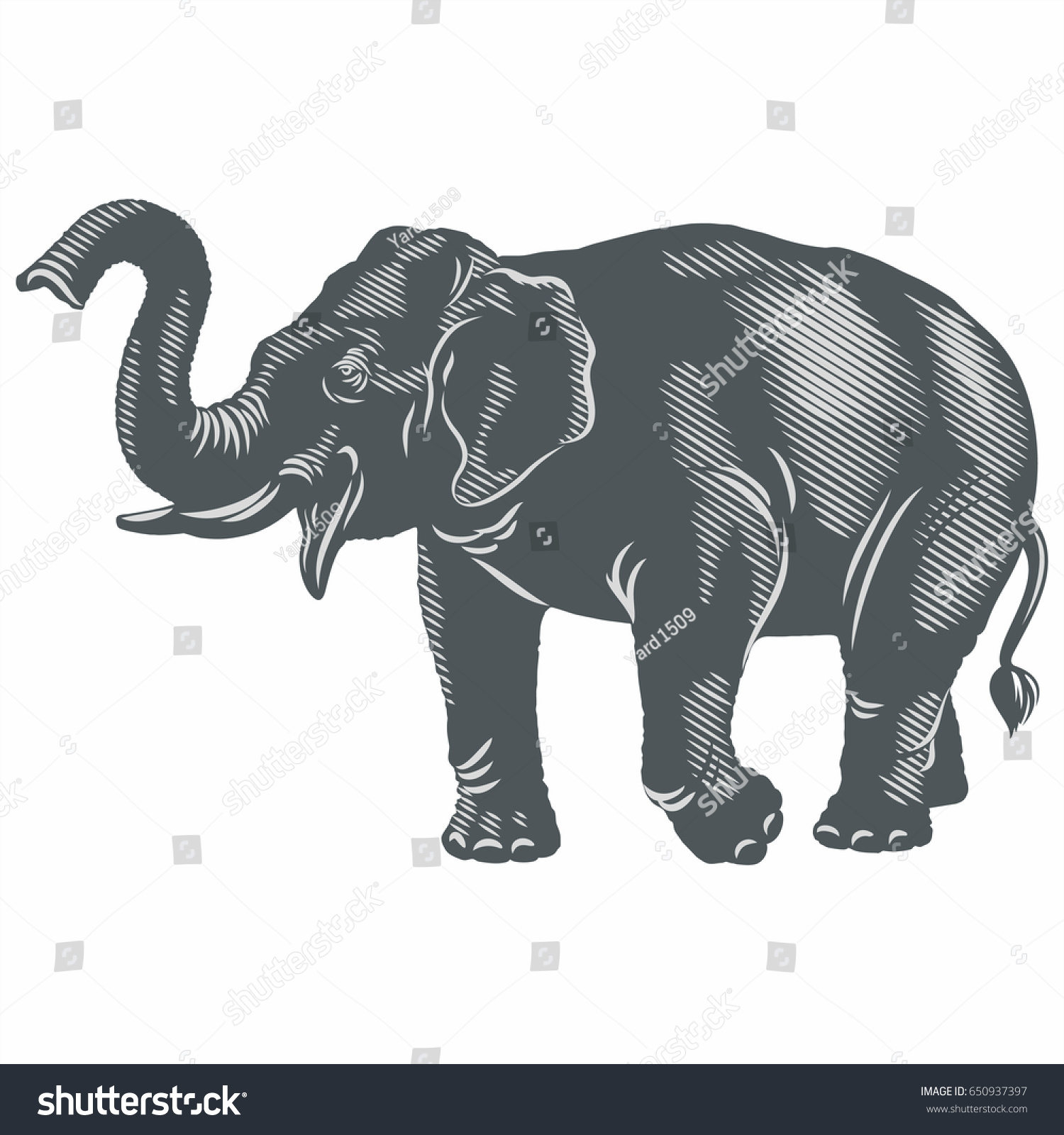 Indian Elephant Illustration Stock Illustration 650937397 - Shutterstock