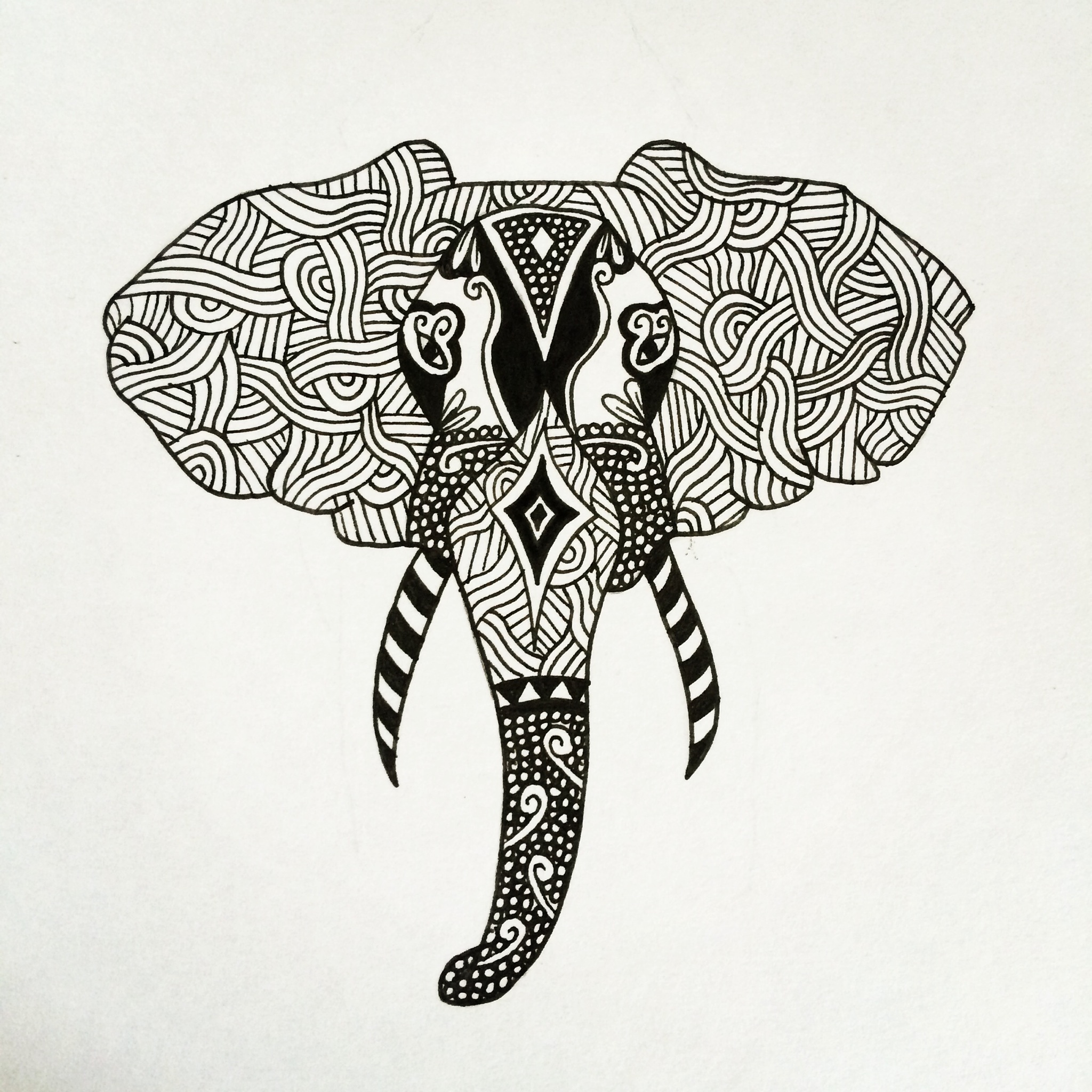 Elephant Illustration – Amy Fulford illustration
