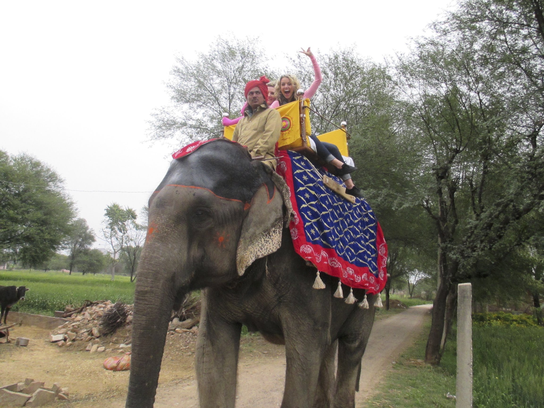 Elephant Ride in Jaipur, India - YouTube