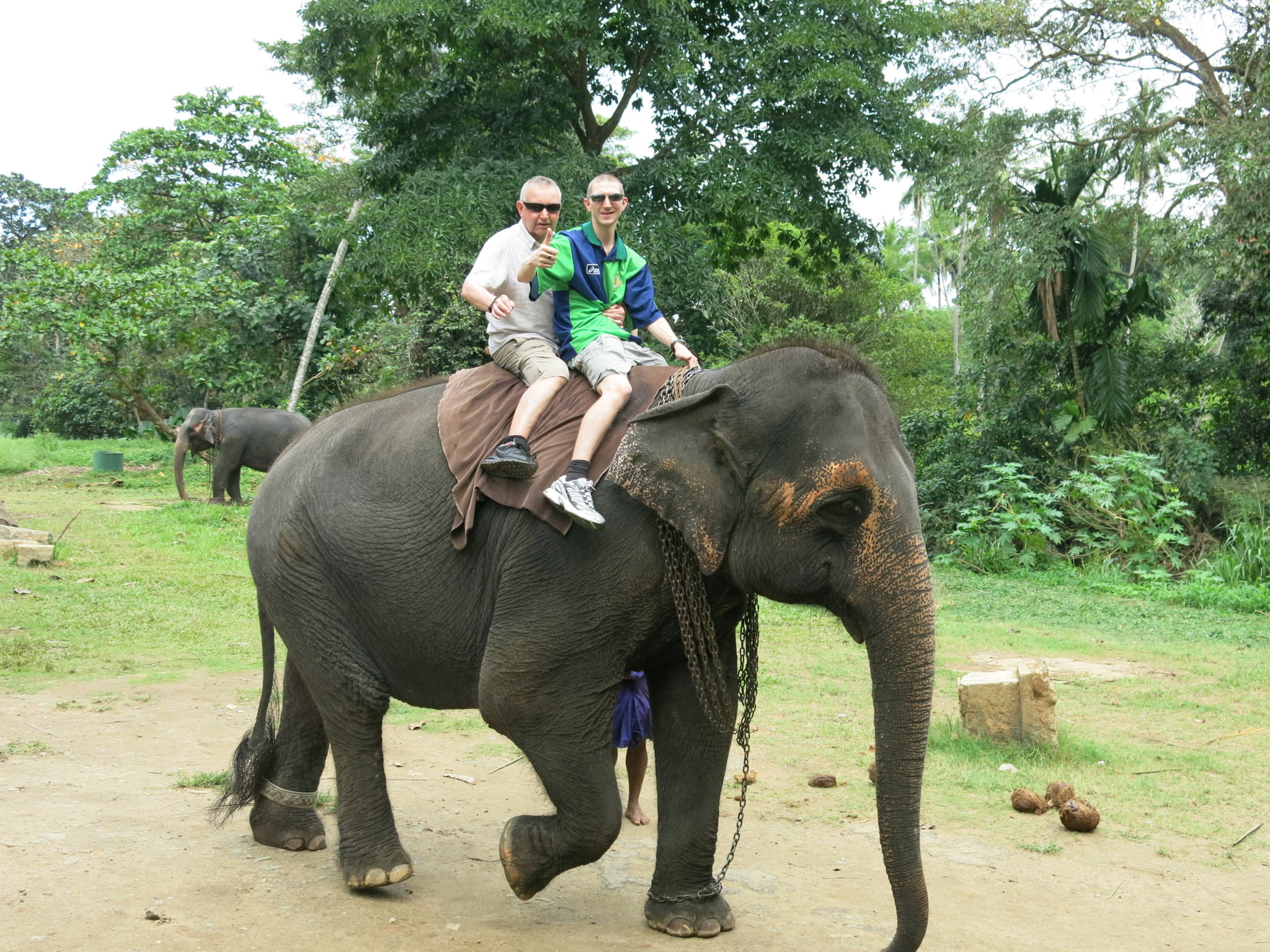 Elephant Riding in Pinnawala, Sri Lanka - Don't Stop Living