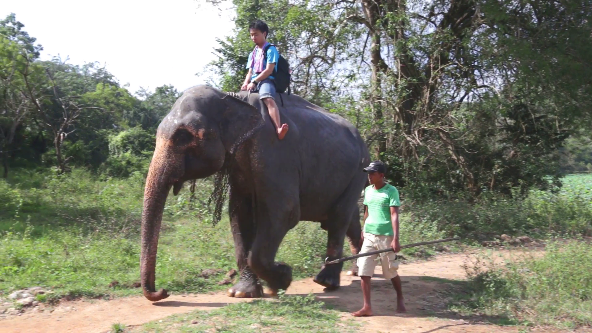 SIGIRIYA, SRI LANKA - FEBRUARY 2014: Elephant ride in nature in ...