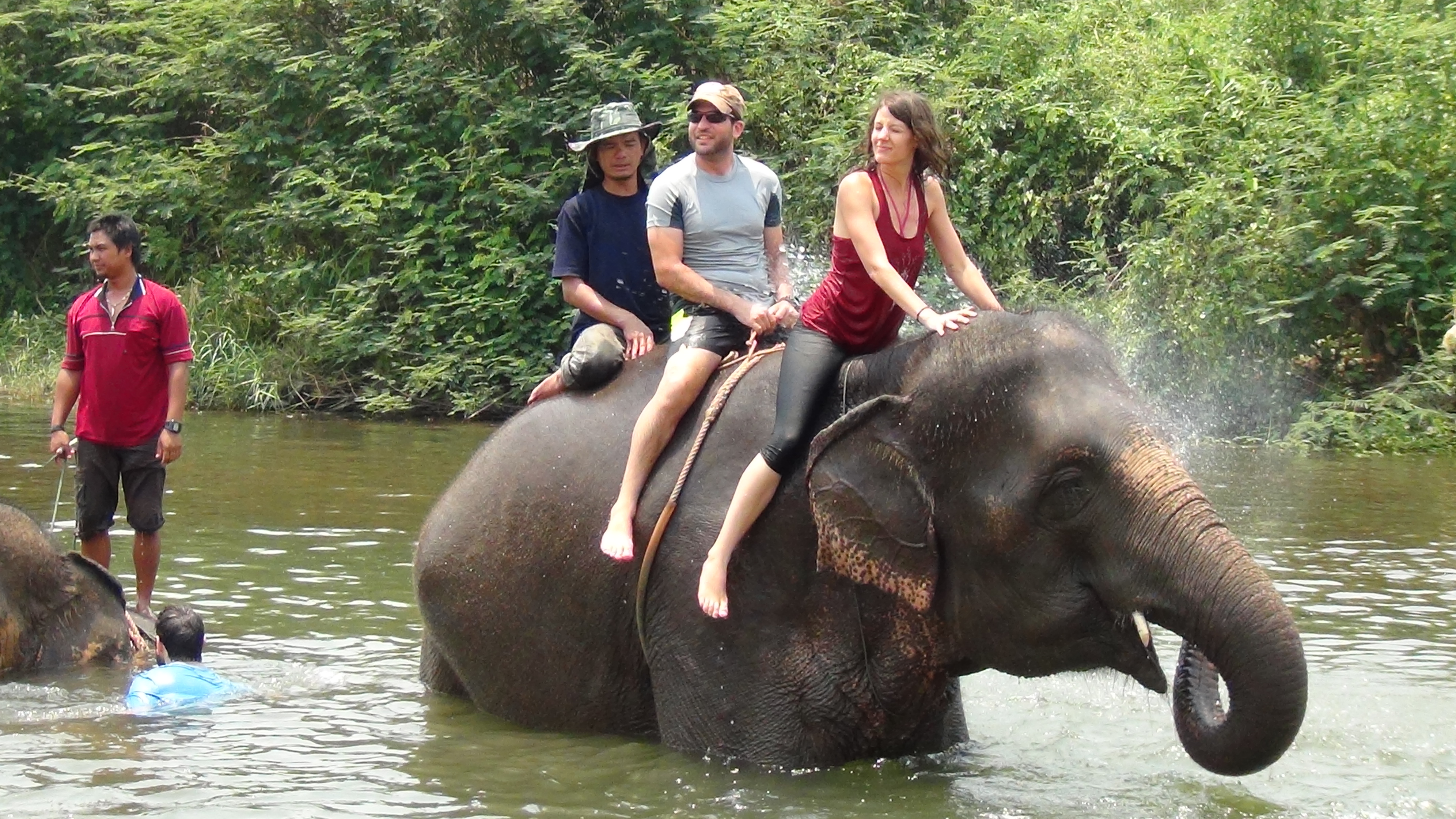 Thailand Elephant Rides: Ethics vs. Entertainment - >> Raise Your ...