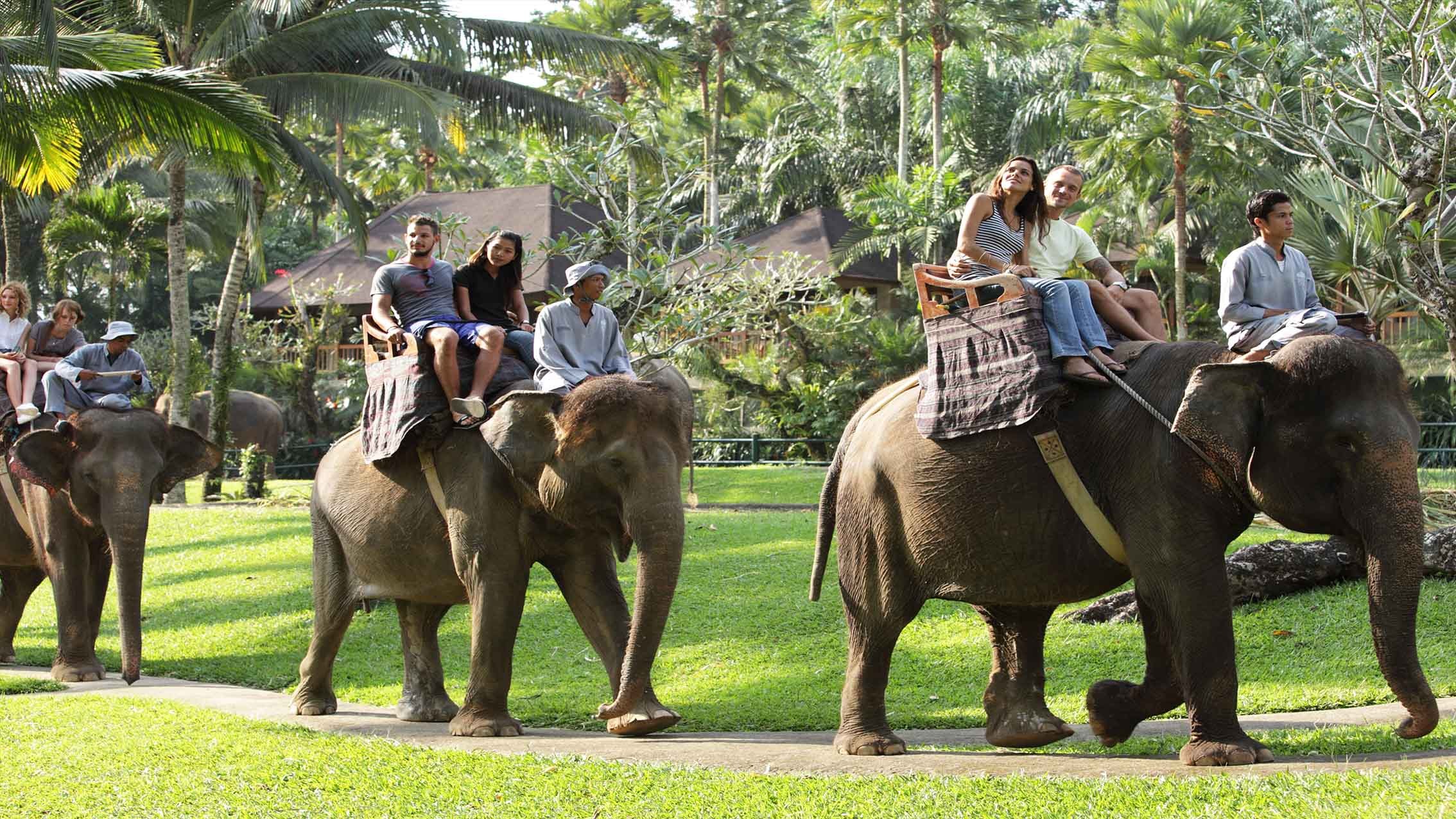 Elephant ride photo