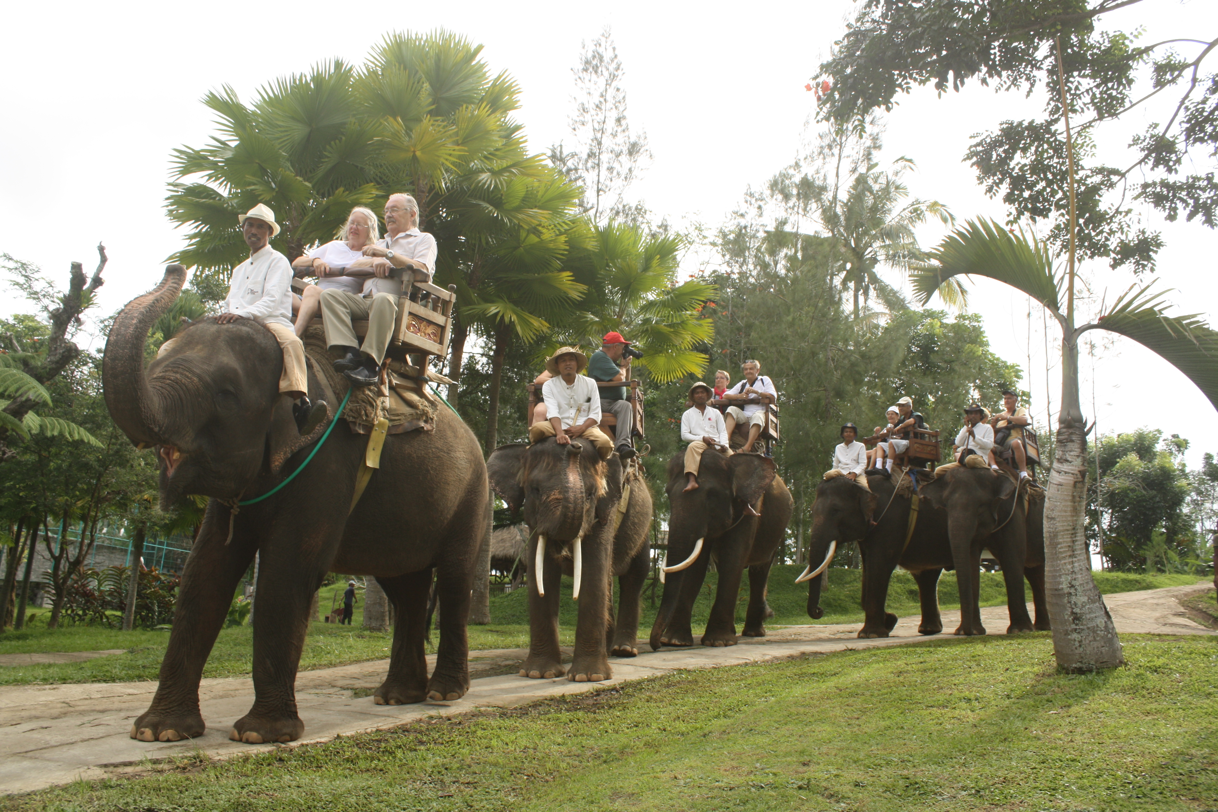 Bali Elephant Ride Ubud - 20% Off - There is 7 Packages