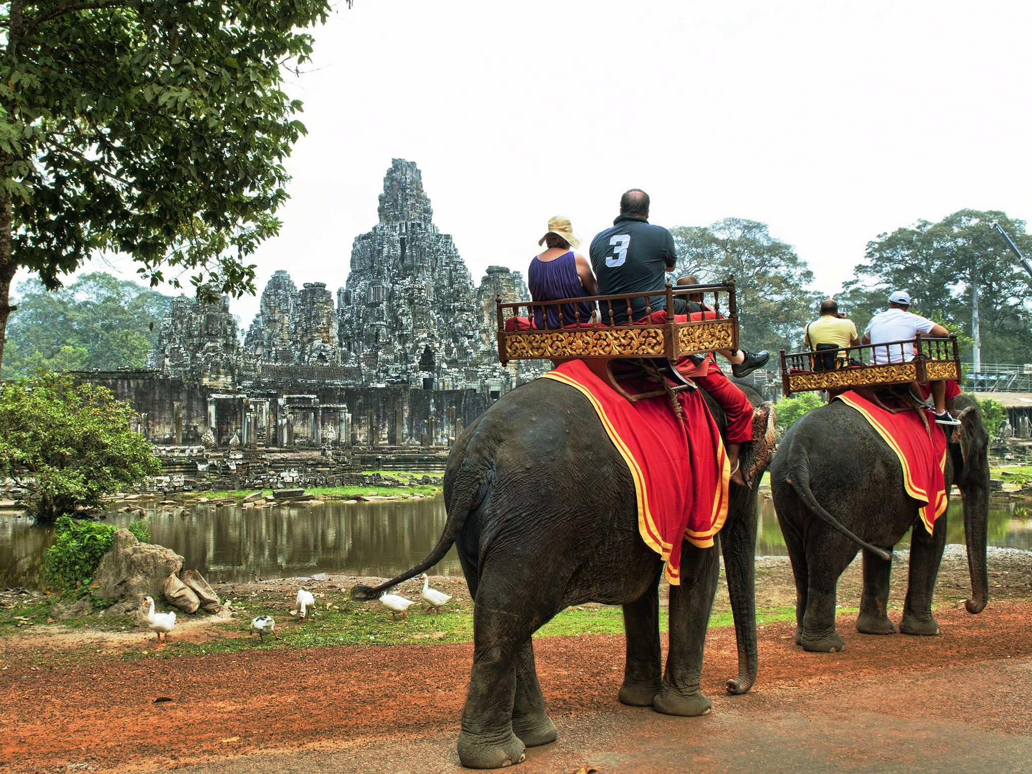 Should Elephant Riding Be Banned? - Condé Nast Traveler