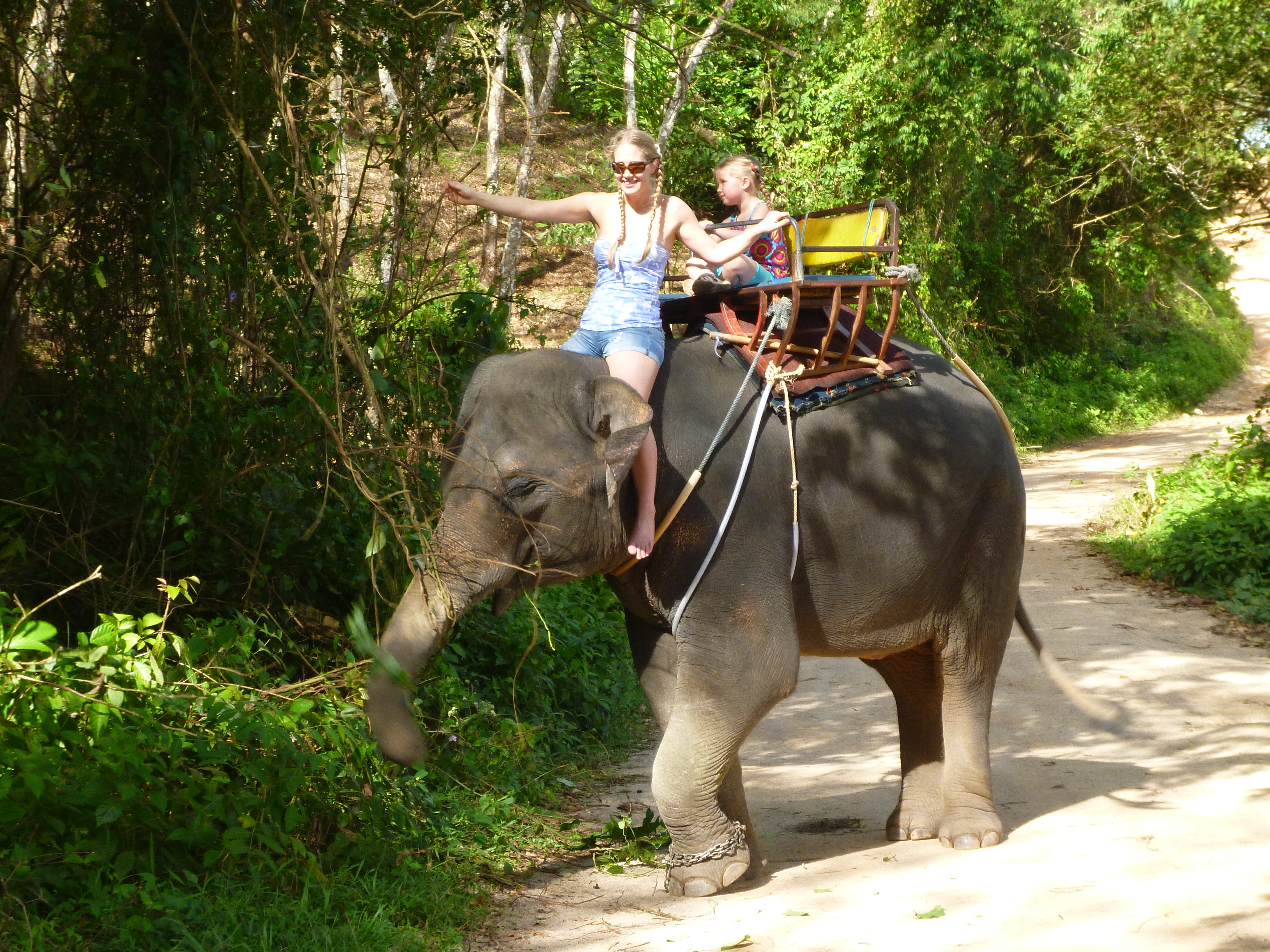 Thailand (Part 3) Riding an Elephant | Emma's Bucket List