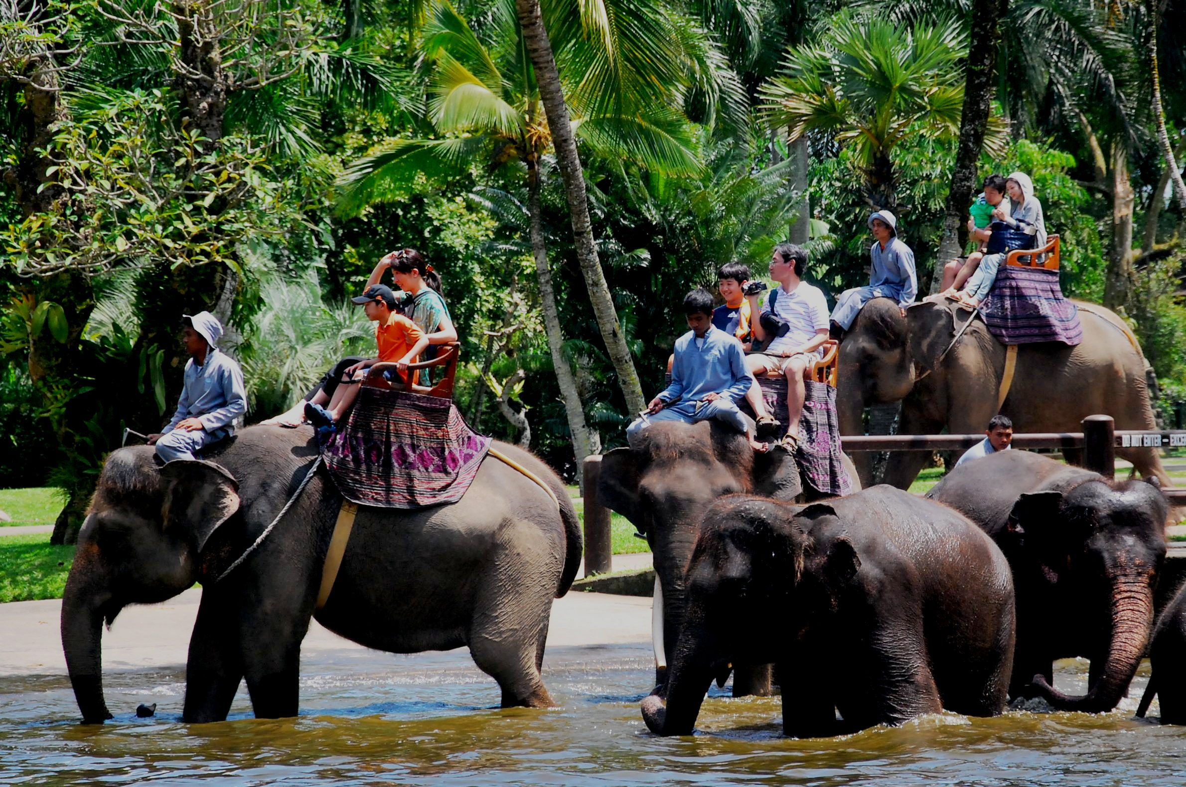 Elephant Ride | Bali Tour Operators