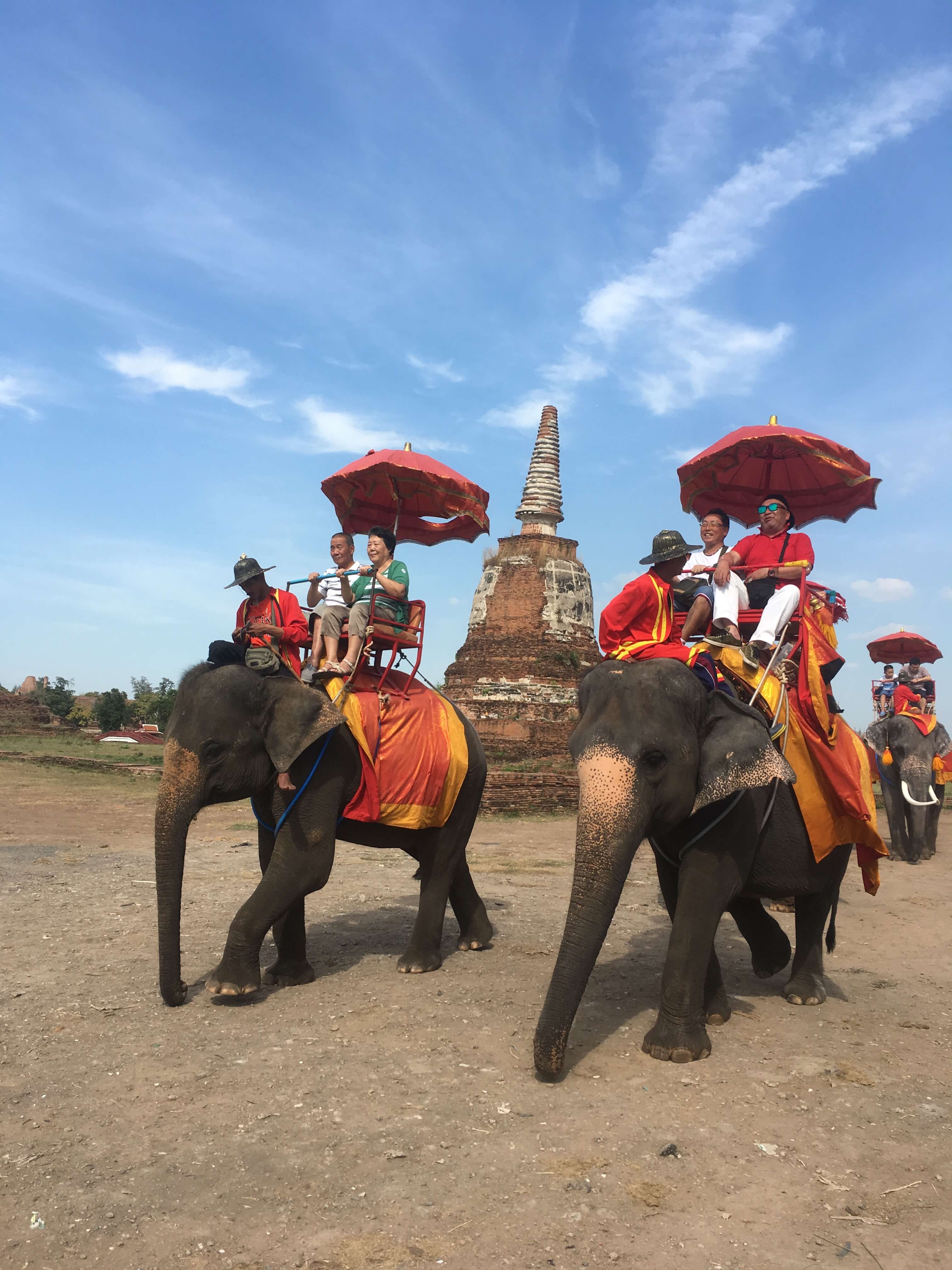 Ayutthaya Highlight with Elephant Ride (2Pax or more) | ฿1800 - Book ...