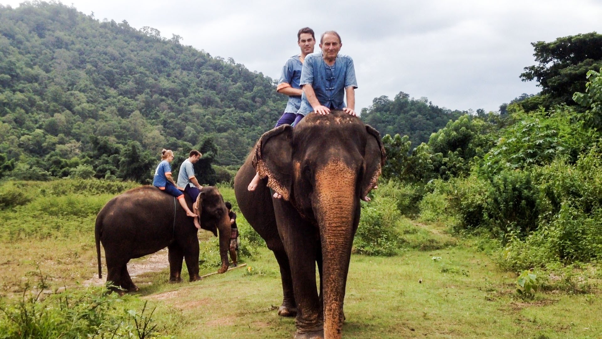 Ethical ways to enjoy Elephant Tourism | TourPirate Blog