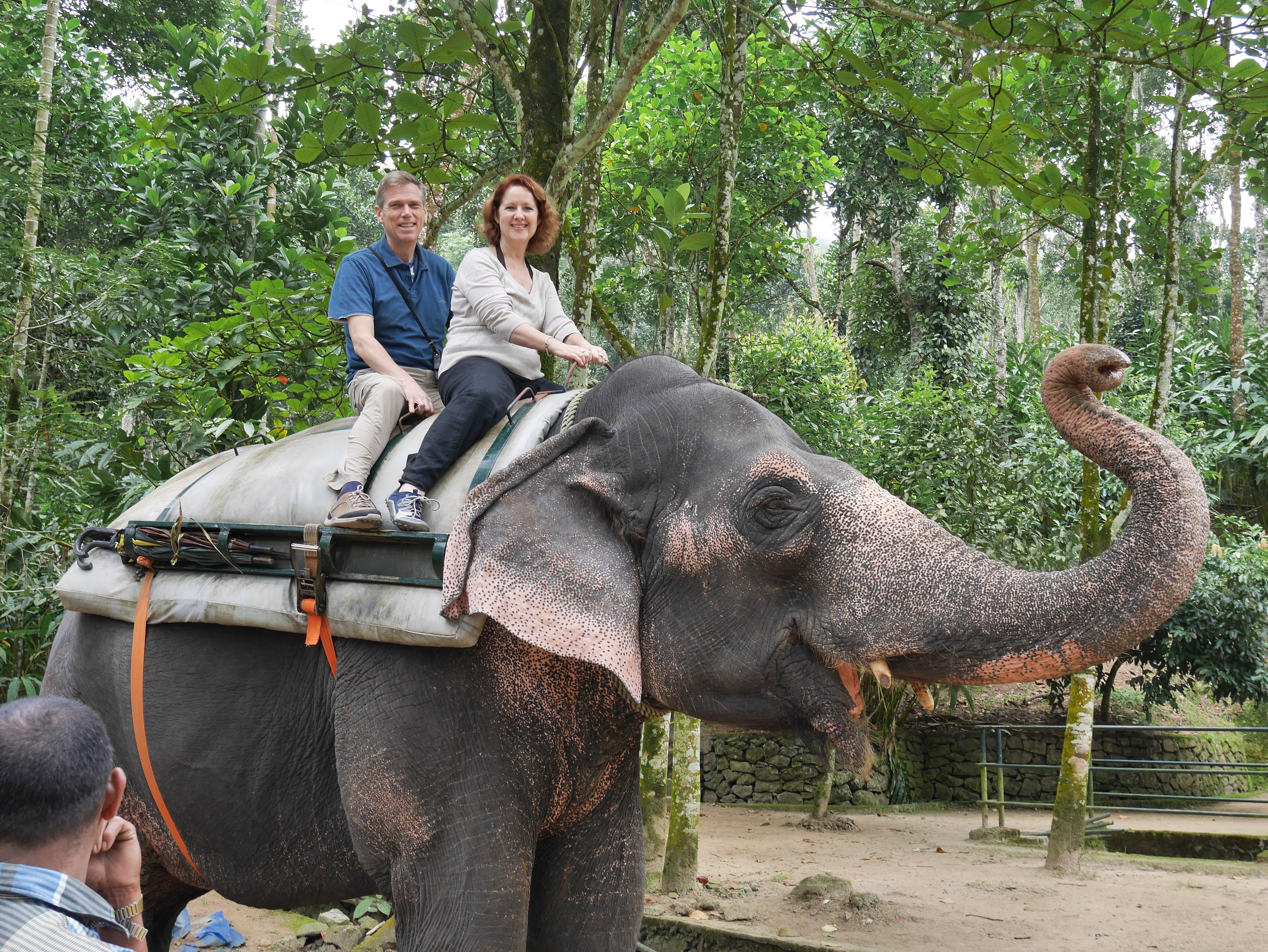 Elephant Ride in Thekaddy | 