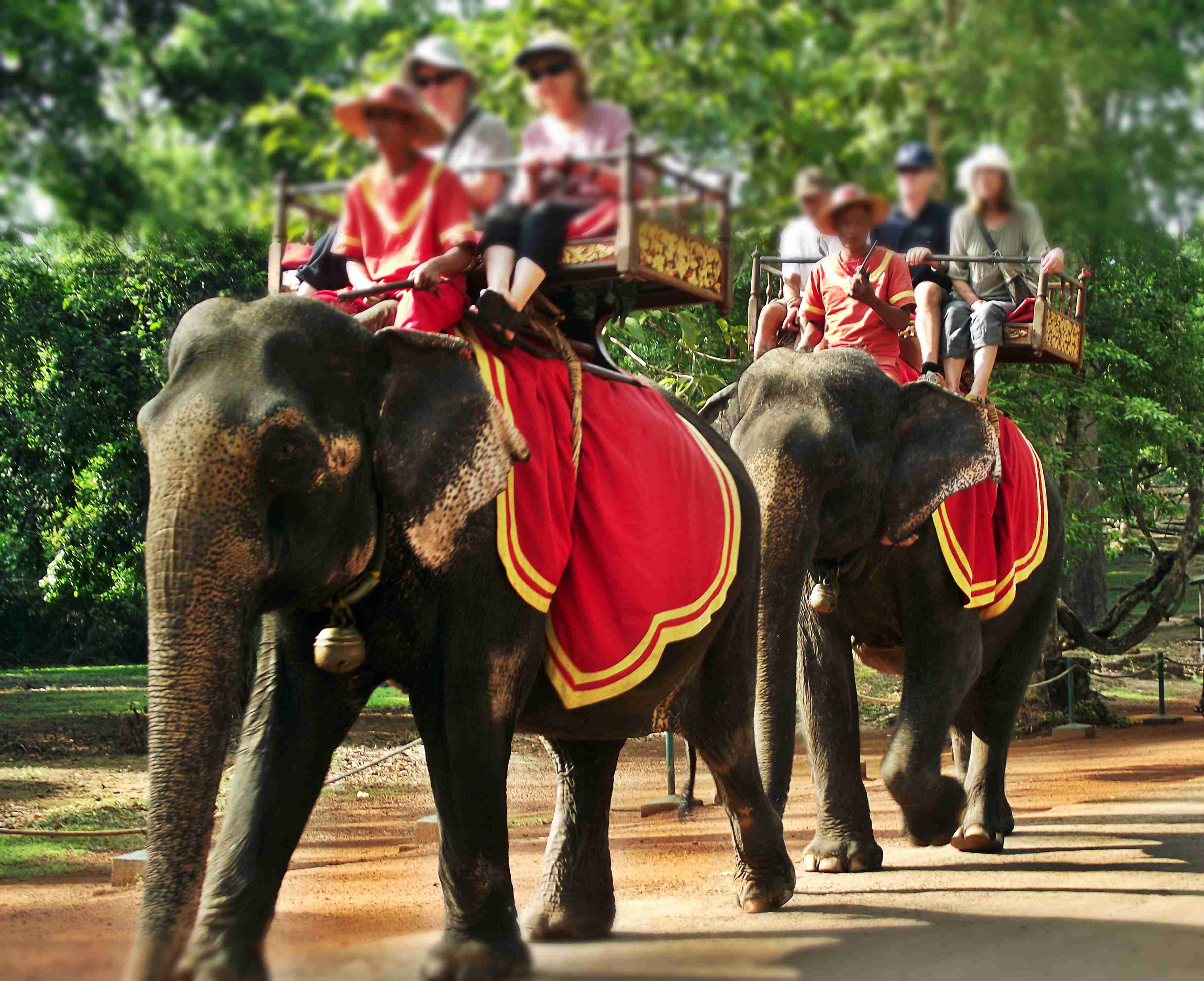 Cambodia Snapshots - Elephant Ride - Lui in Penh