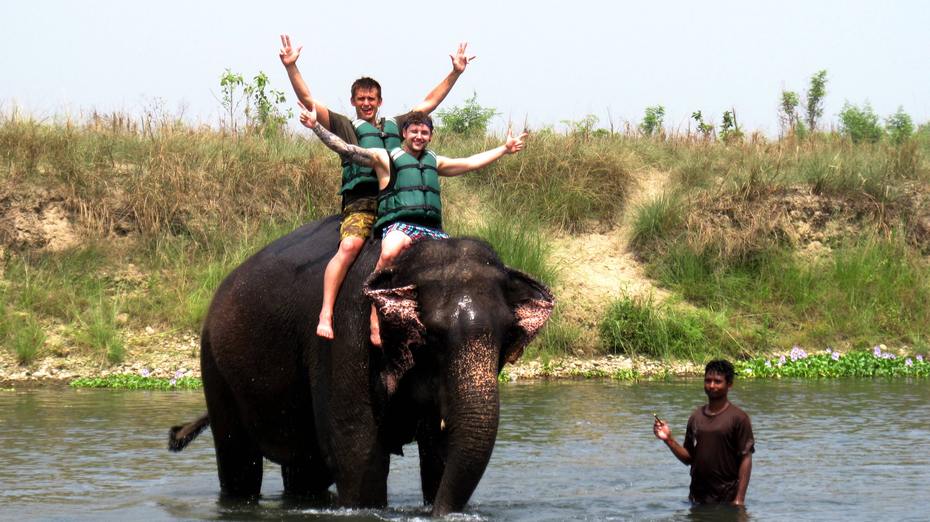 Elephant Back Ride Safari at Chitwan National Park - Nepal - YouTube
