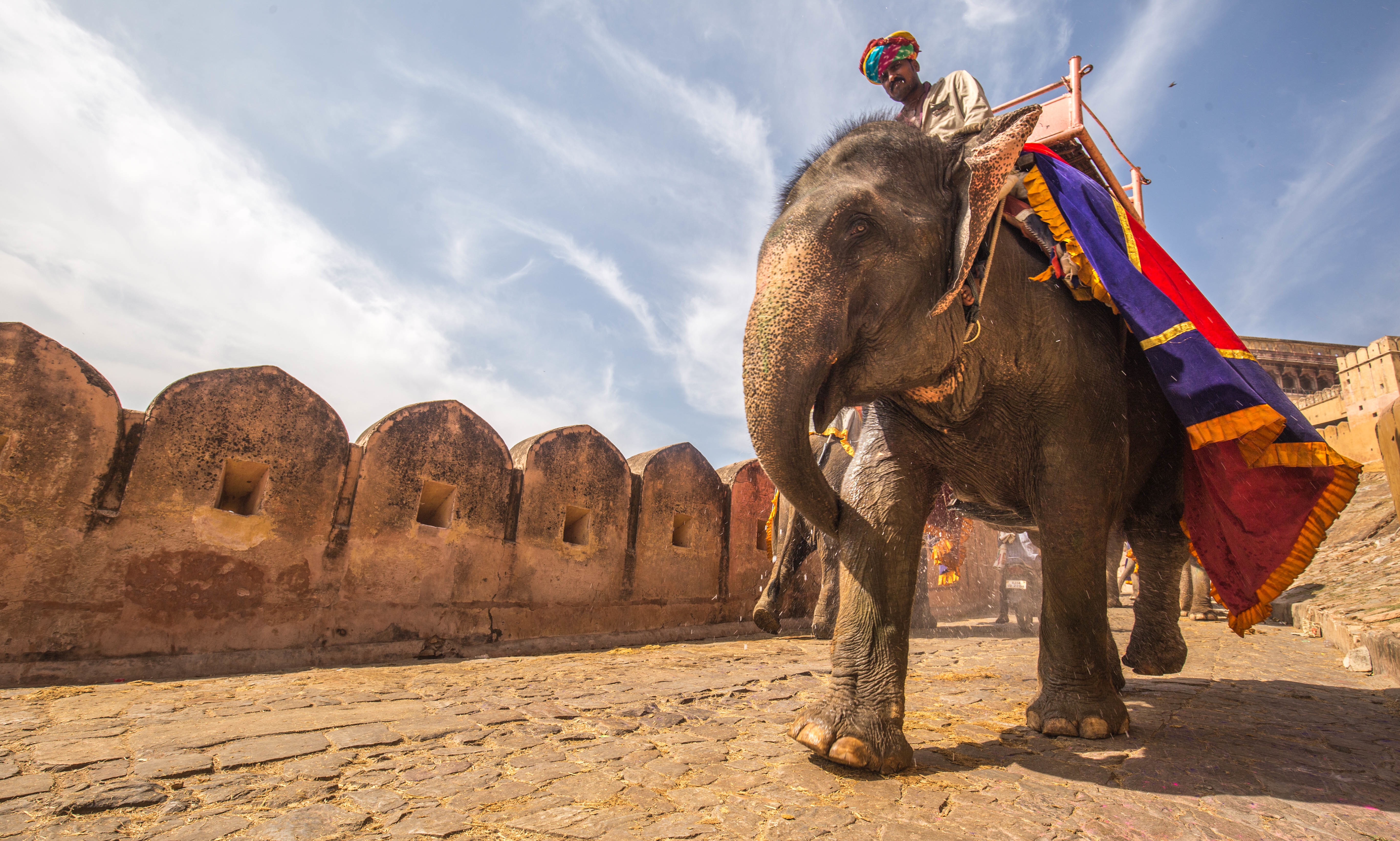 Free Images : landscape, building, ride, elephant, riding, temple ...