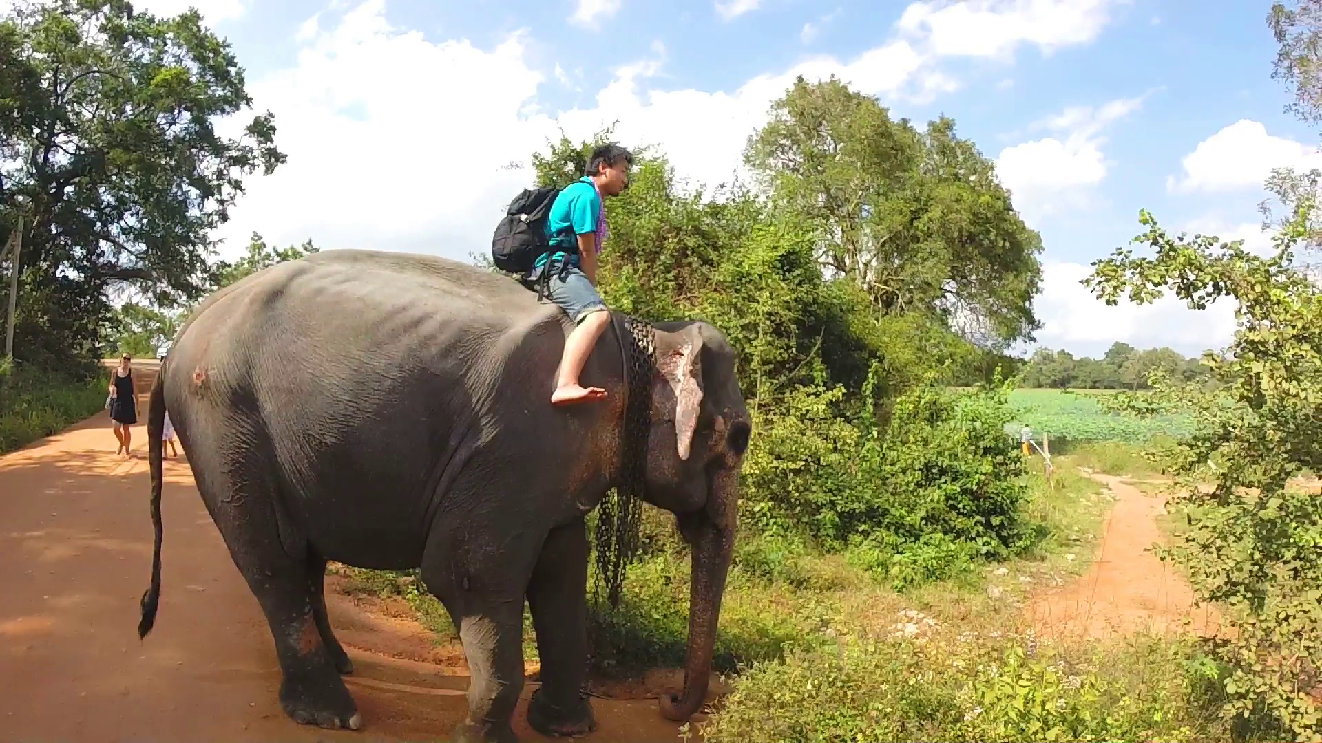 SIGIRIYA, SRI LANKA - MARCH 2014: Tourist enjoying elephant ride on ...