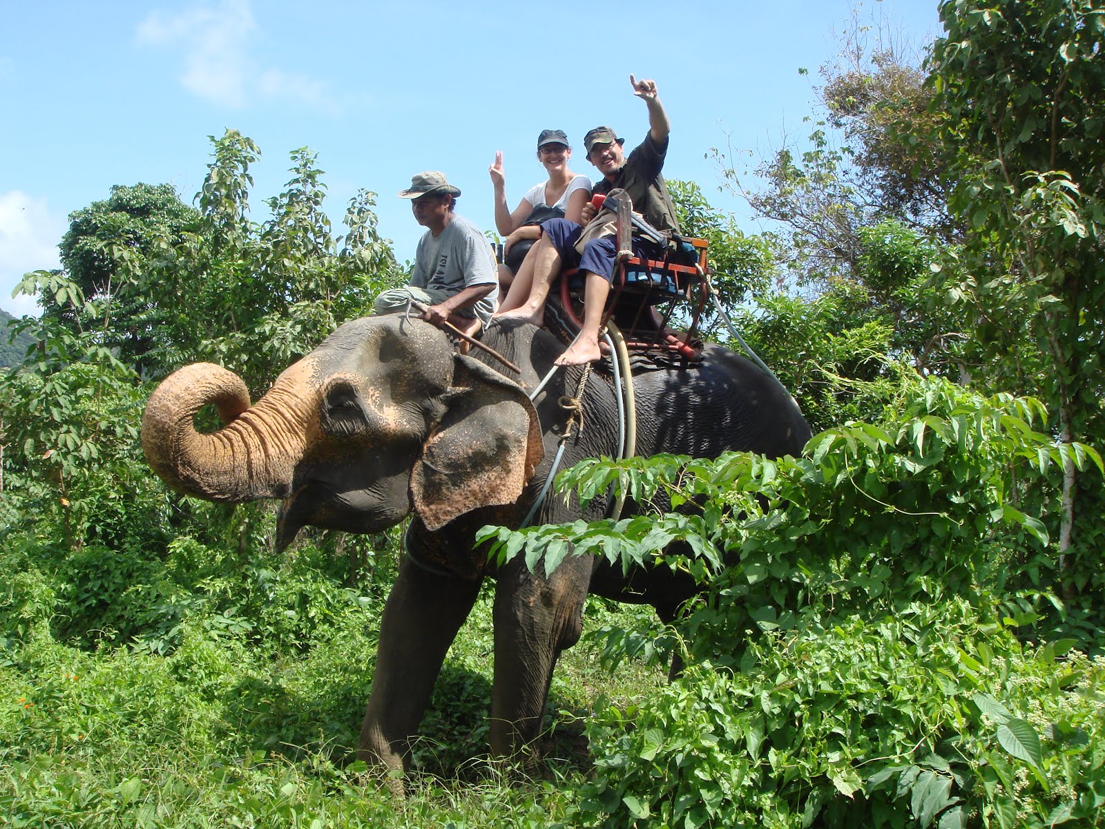 30 Minutes Elephant Trekking Tour - Phuket Travel Shop