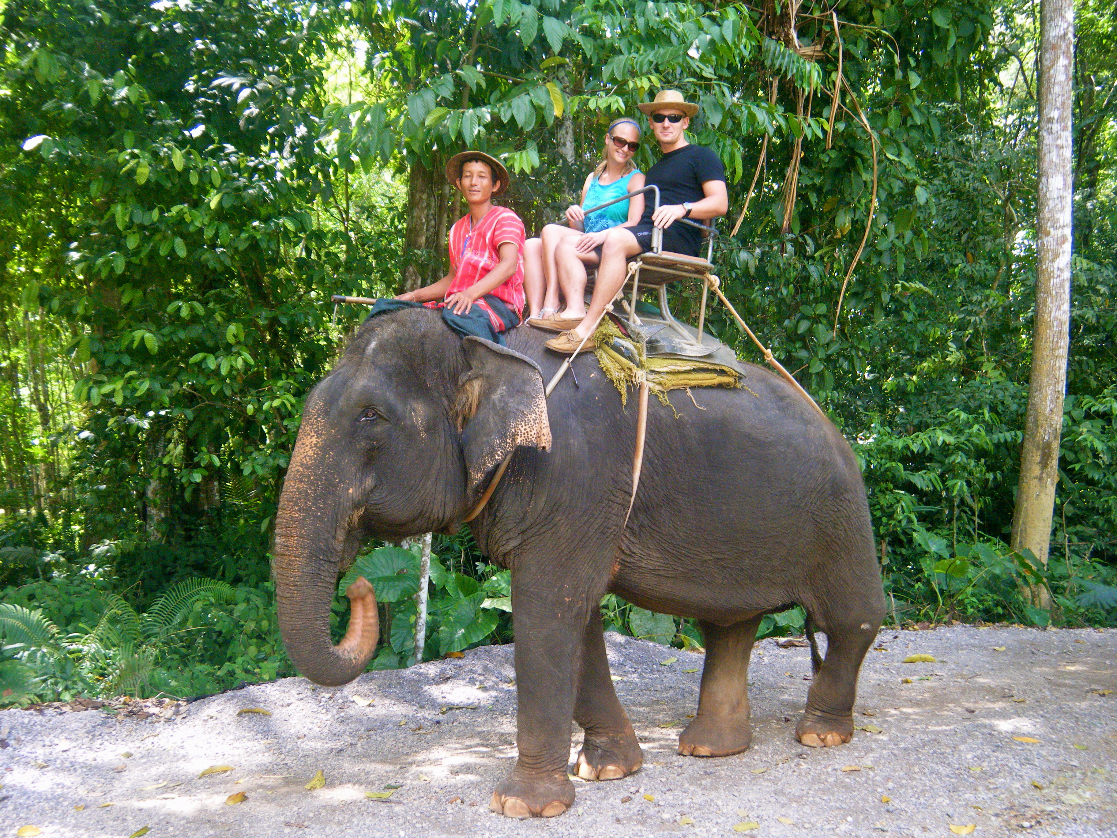 Elephant Trekking in the Rainforest {Thailand Recap} - Foodie Loves ...