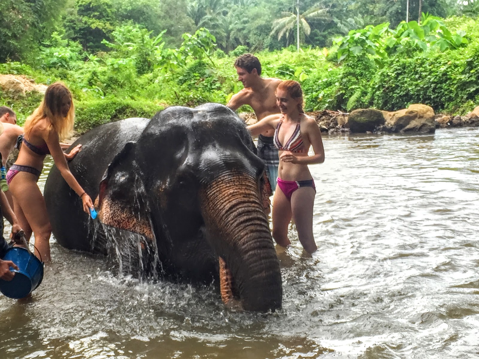 Huay Tho Elephant Trekking with Waterfall Adventure - Trip Store Krabi