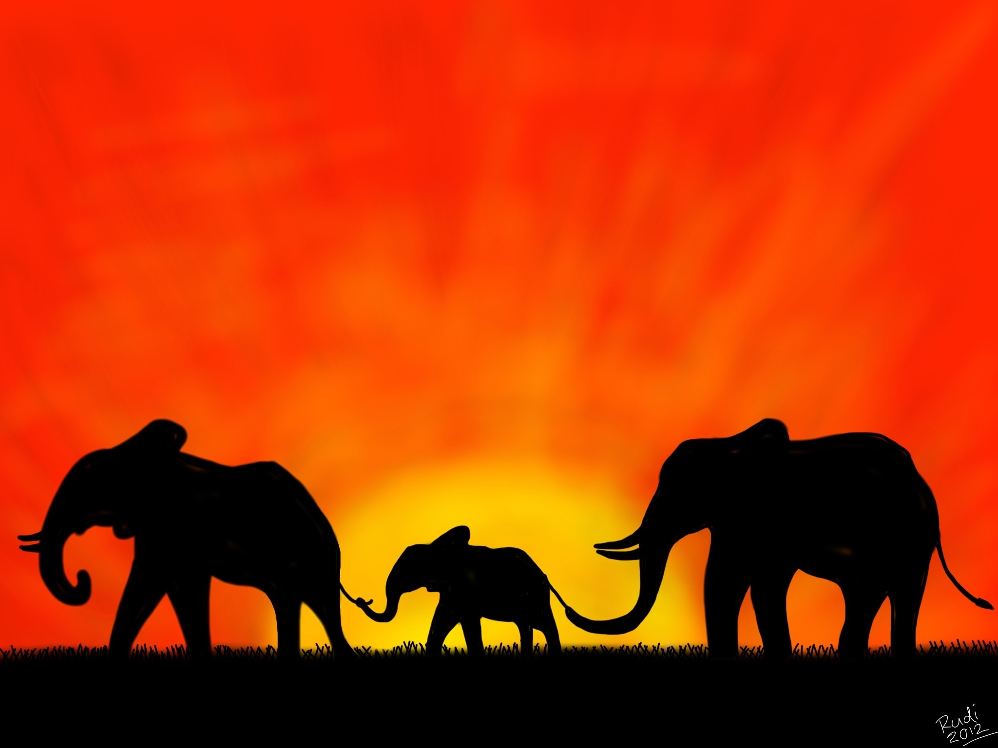Elephants Sunset | Ipad Art And Photography