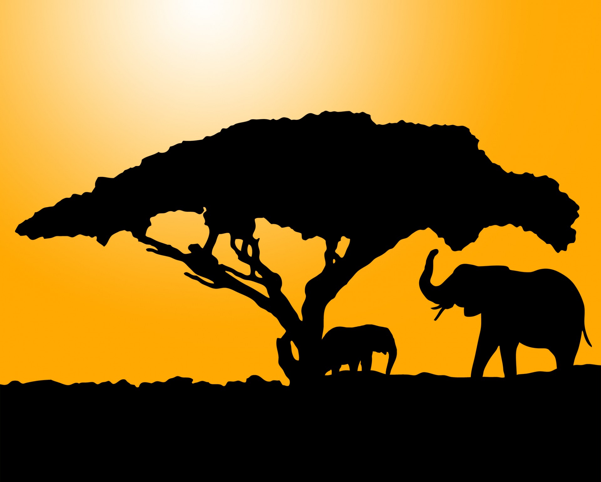 Elephant Silhouette At Sunset Free Stock Photo - Public Domain Pictures