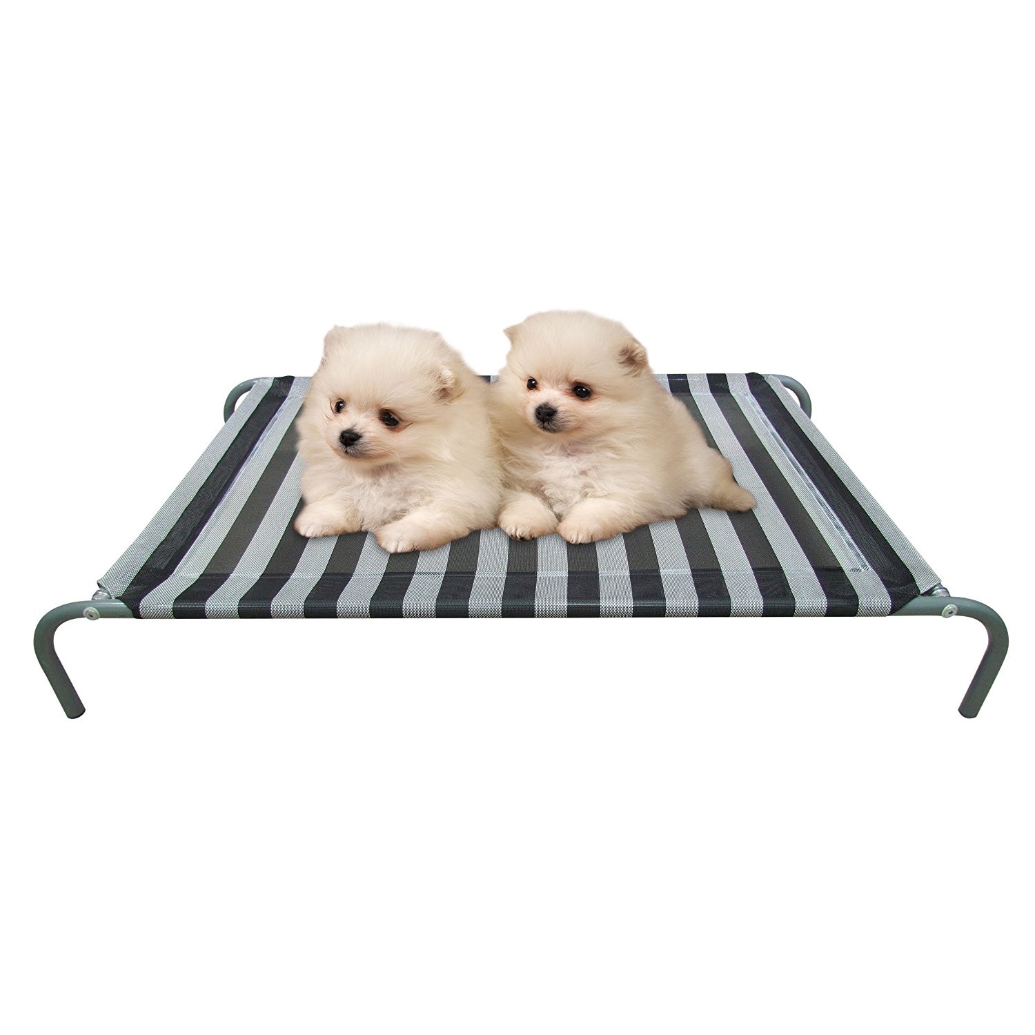 Cooling Dog Bed – Find the Best Elevated Dog Bed to Keep Your Pet Cool